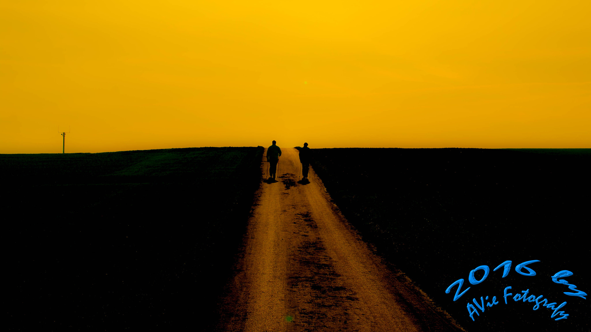Sony DT 55-200mm F4-5.6 SAM sample photo. Walking together photography