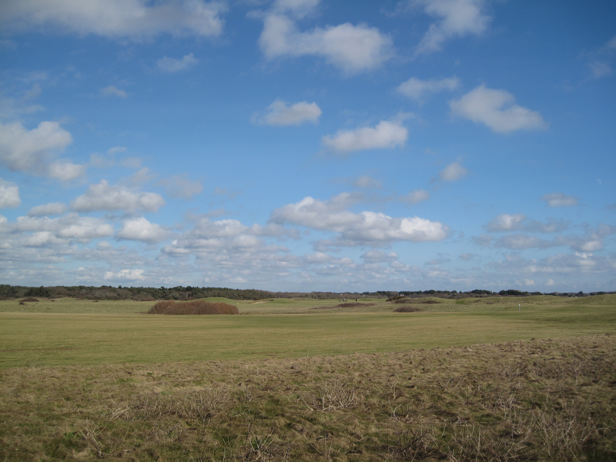 Canon PowerShot SD990 IS (Digital IXUS 980 IS / IXY Digital 3000 IS) sample photo. Sky larks singing photography