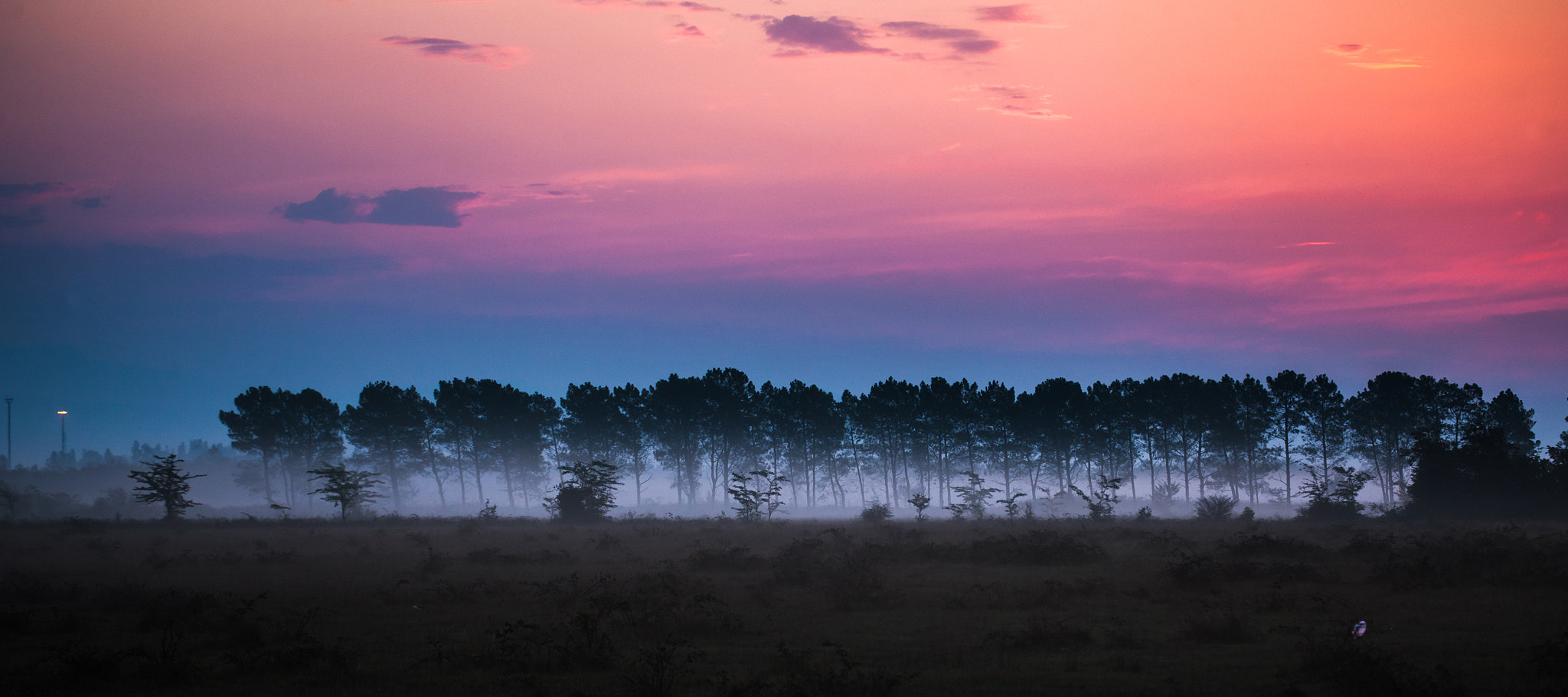 Canon EOS-1Ds Mark III sample photo. Sunrise morning mist photography