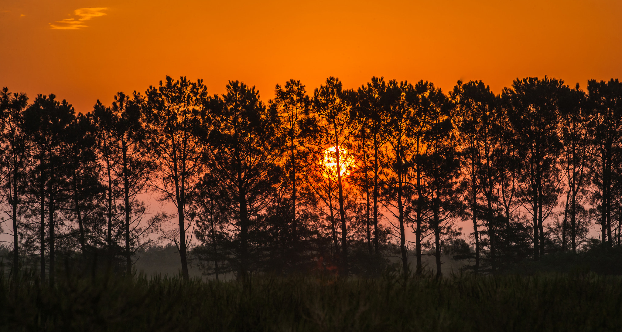 Canon EOS-1Ds Mark III sample photo. Sunrise photography