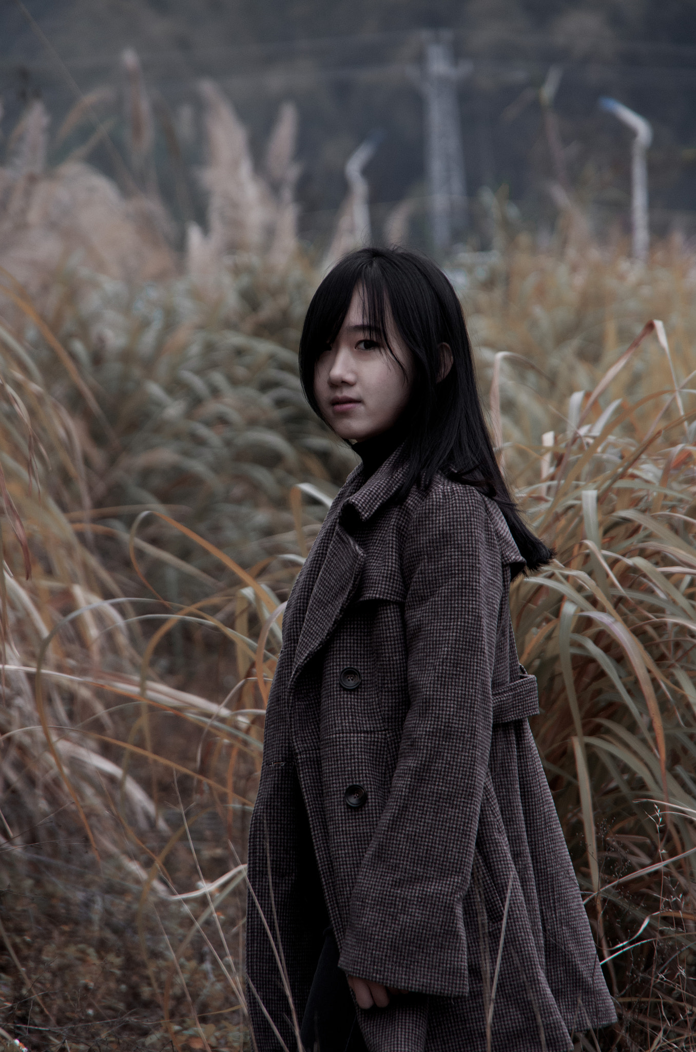Pentax K-5 IIs sample photo. You photography