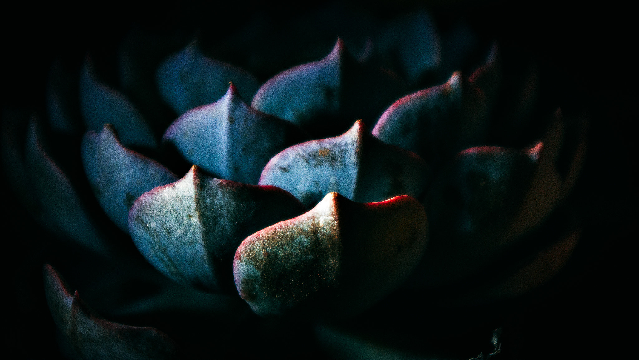 Pentax K-01 sample photo. Name？ photography