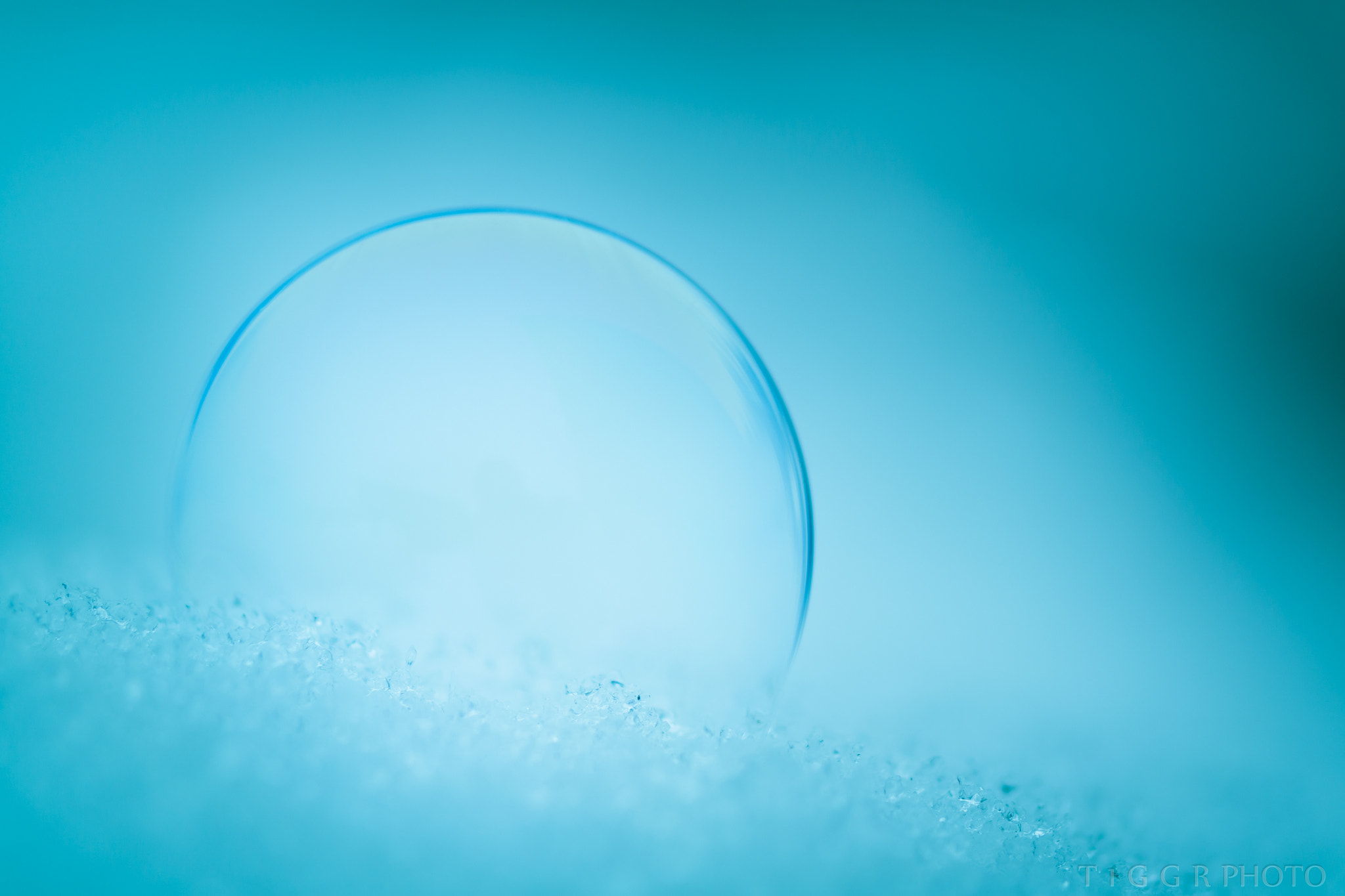 Samsung NX30 + Samsung NX 60mm F2.8 Macro ED OIS SSA sample photo. Inner glow photography