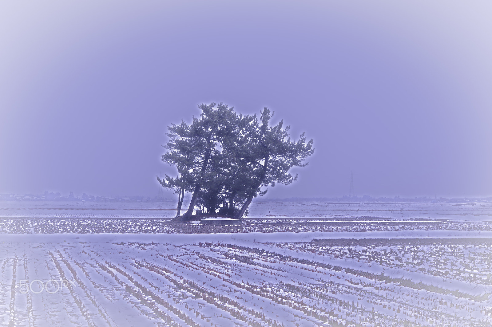 smc PENTAX-DA L 55-300mm F4-5.8 ED sample photo. "日本の冬 " winter in japan photography