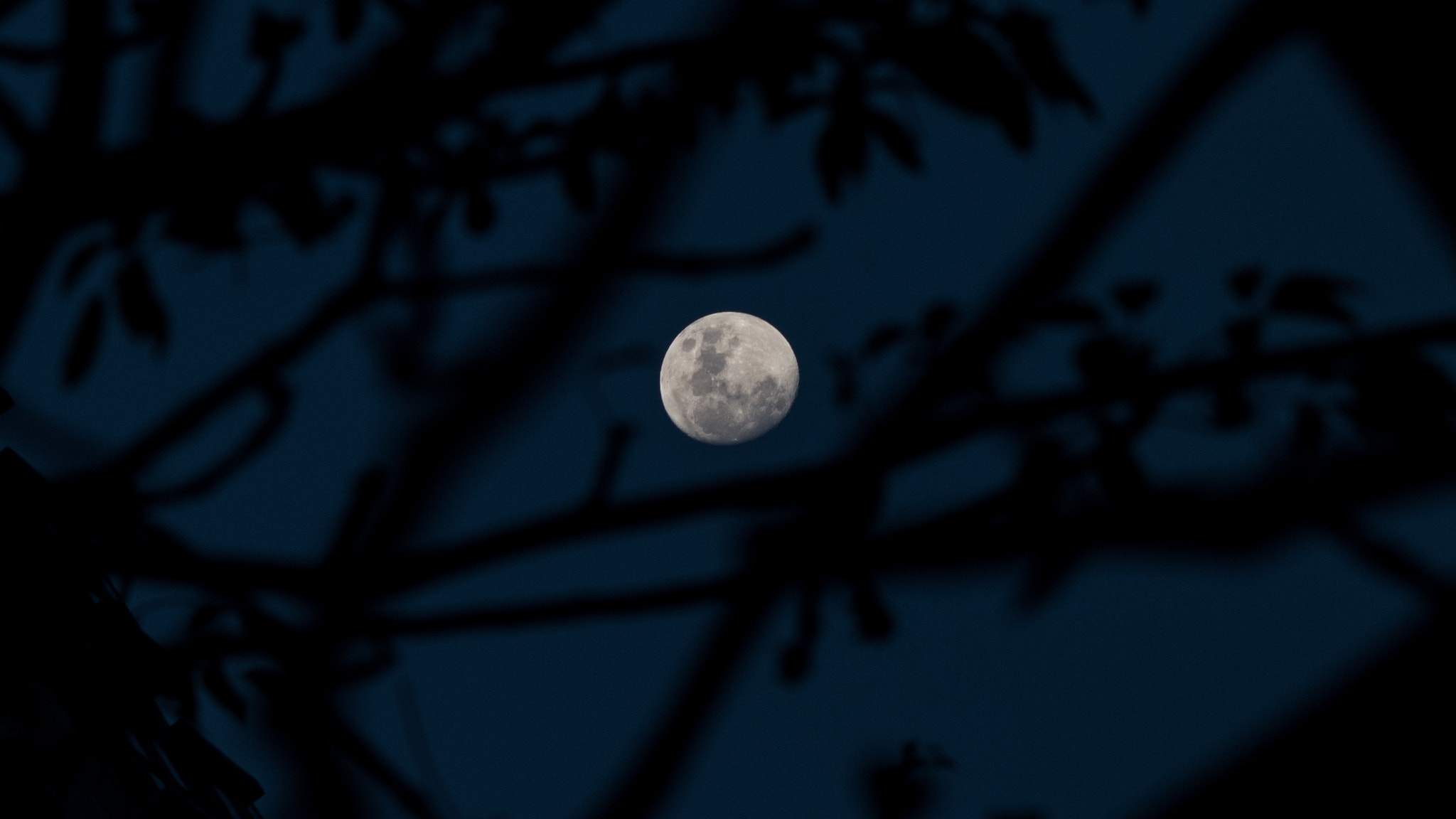 Nikon D810 + AF DC-Nikkor 135mm f/2D sample photo. Hong kong moon night photography