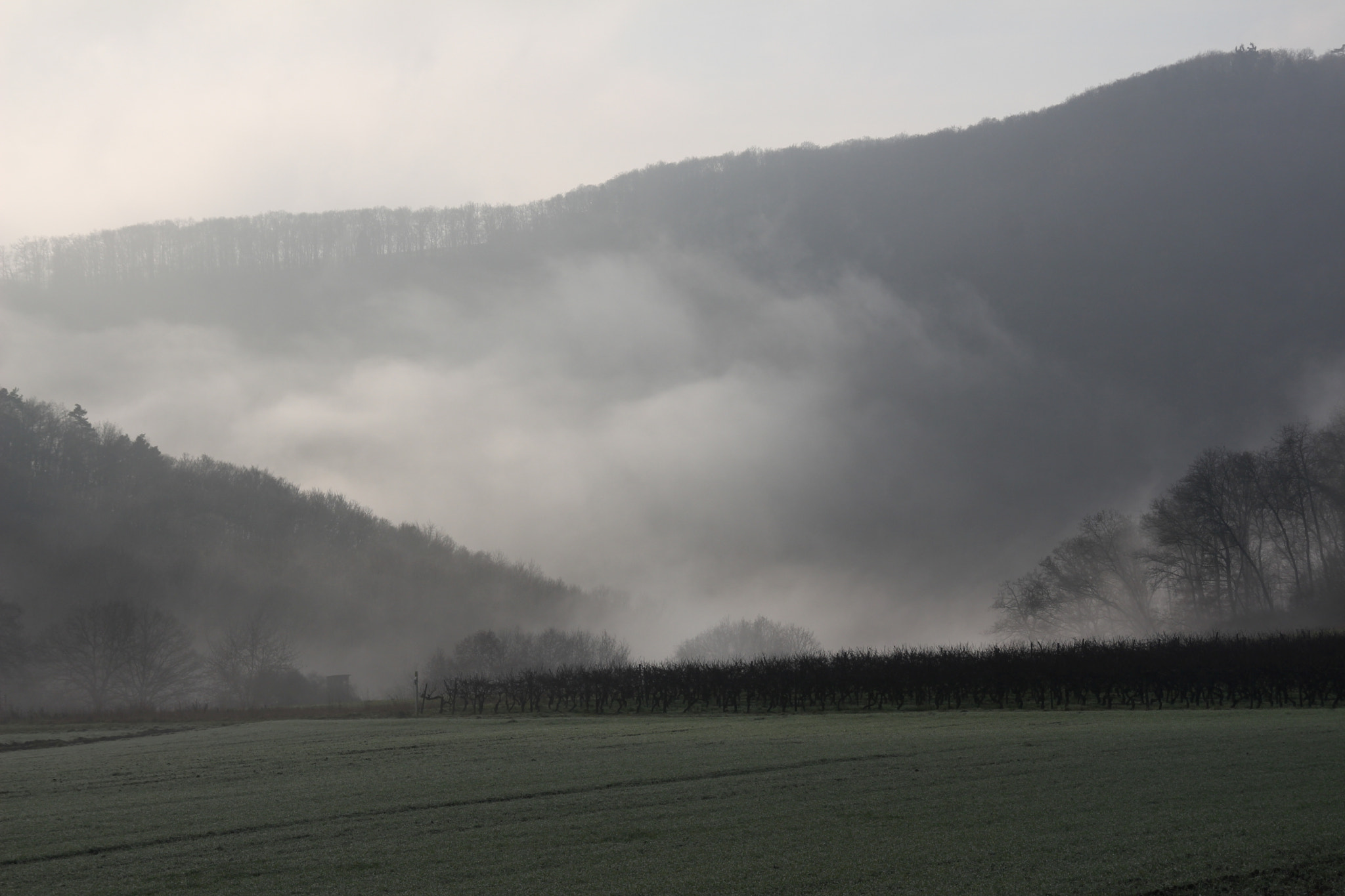 Sigma 18-200mm f/3.5-6.3 DC OS sample photo. Soonwaldnebel i photography