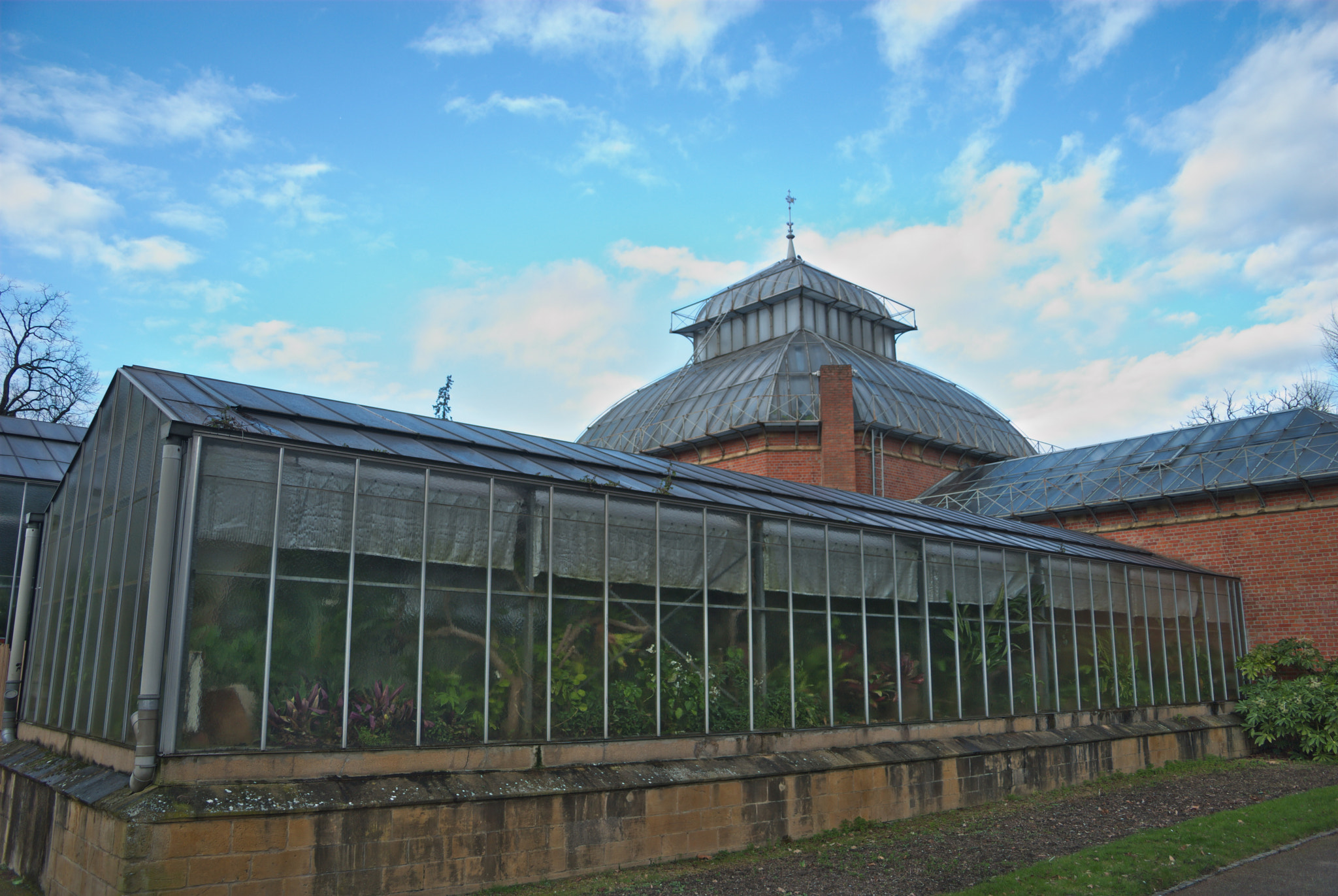 Sigma 18-50mm F3.5-5.6 DC sample photo. Serre jardin botanique - metz photography