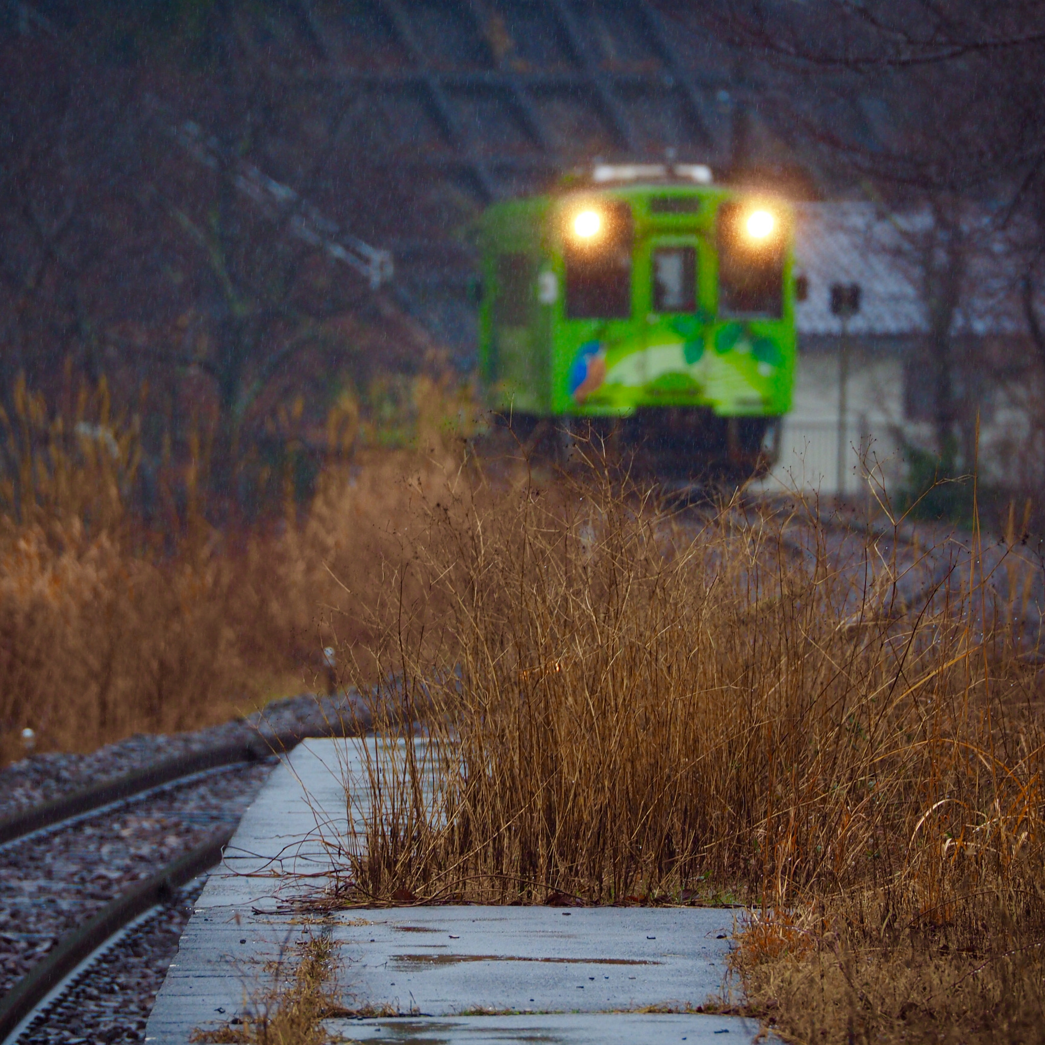 Olympus OM-D E-M10 II sample photo. 錦川鉄道 nishikigawa tetsudo photography