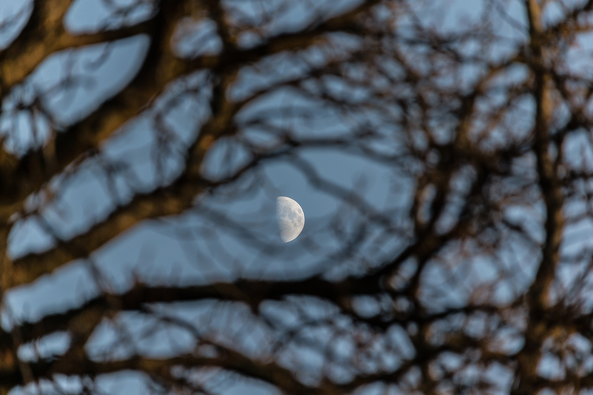 Canon EF 28-300mm F3.5-5.6L IS USM sample photo. Winter time photography