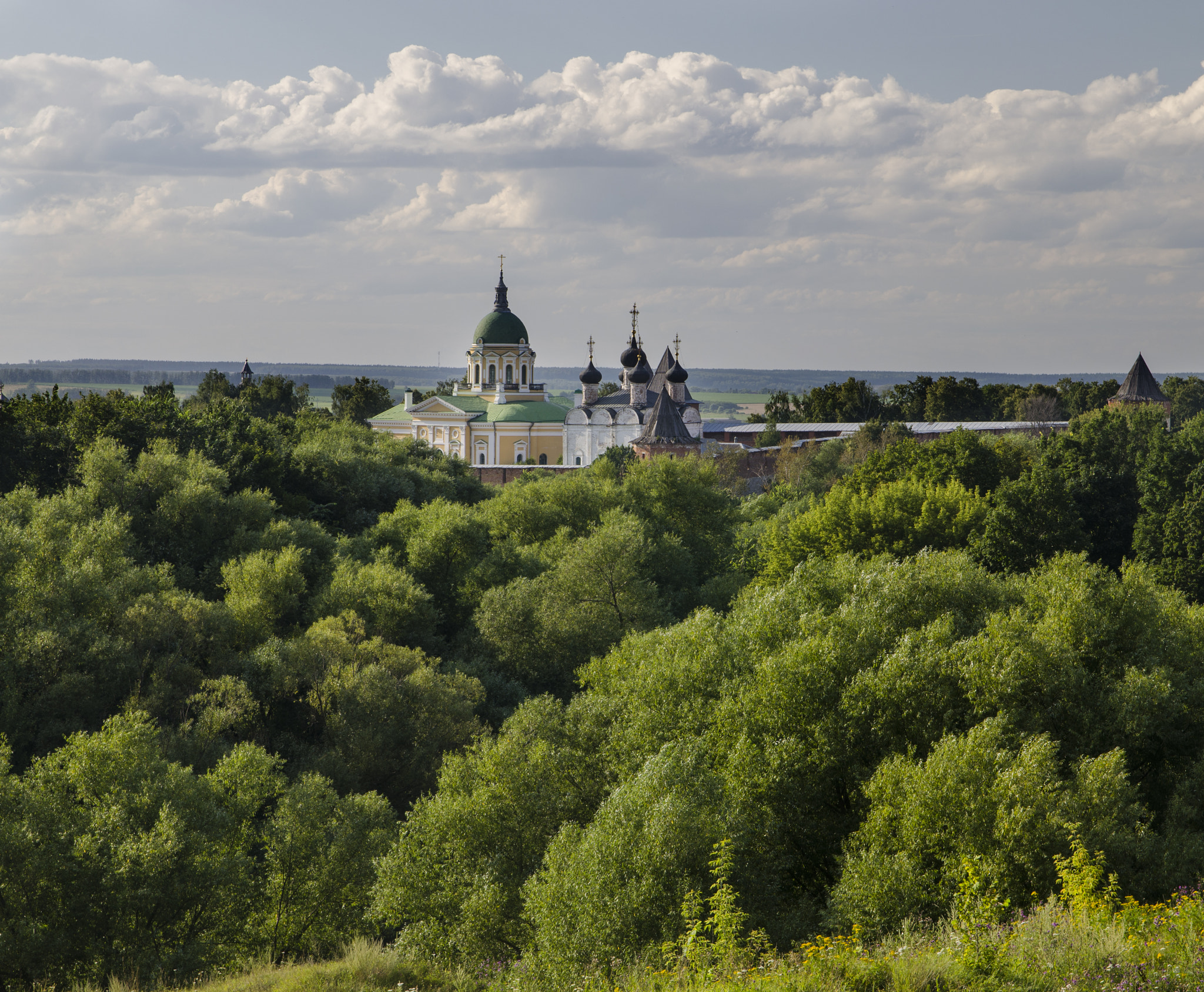 Sigma 17-70mm F2.8-4 DC Macro OS HSM | C sample photo. Зарайский кремль летом photography