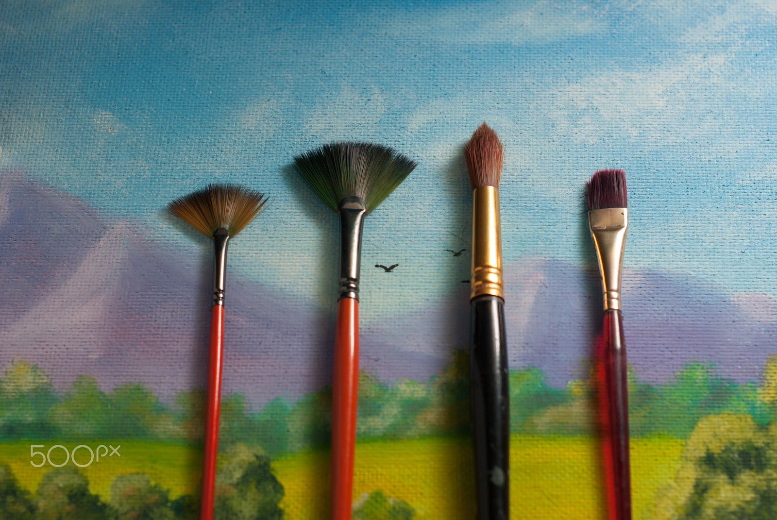 AF Nikkor 50mm f/1.8 N sample photo. Set of different brushes photography