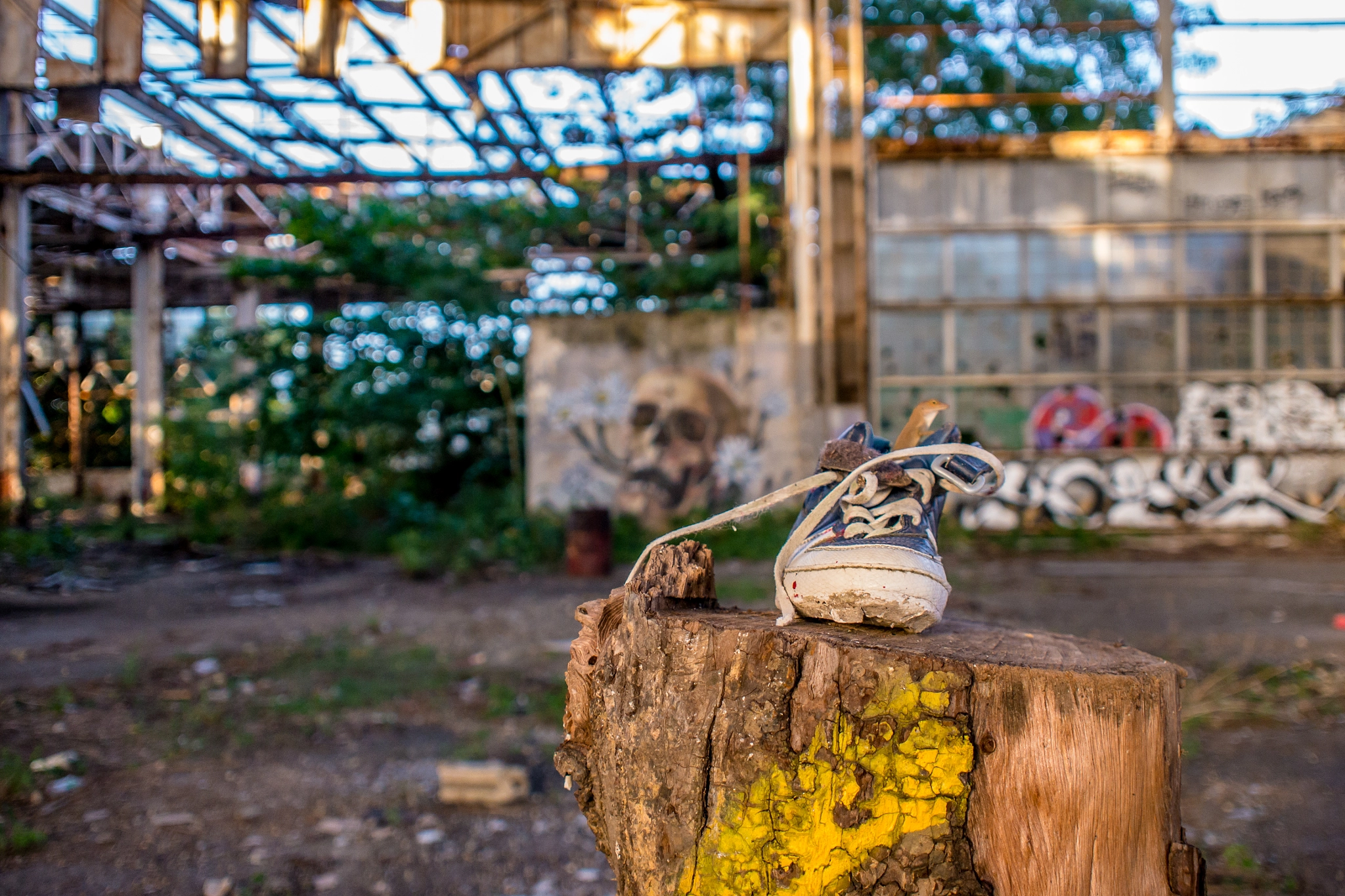 Panasonic Lumix DMC-G5 + Olympus M.Zuiko Digital 17mm F2.8 Pancake sample photo. Beautiful junk photography