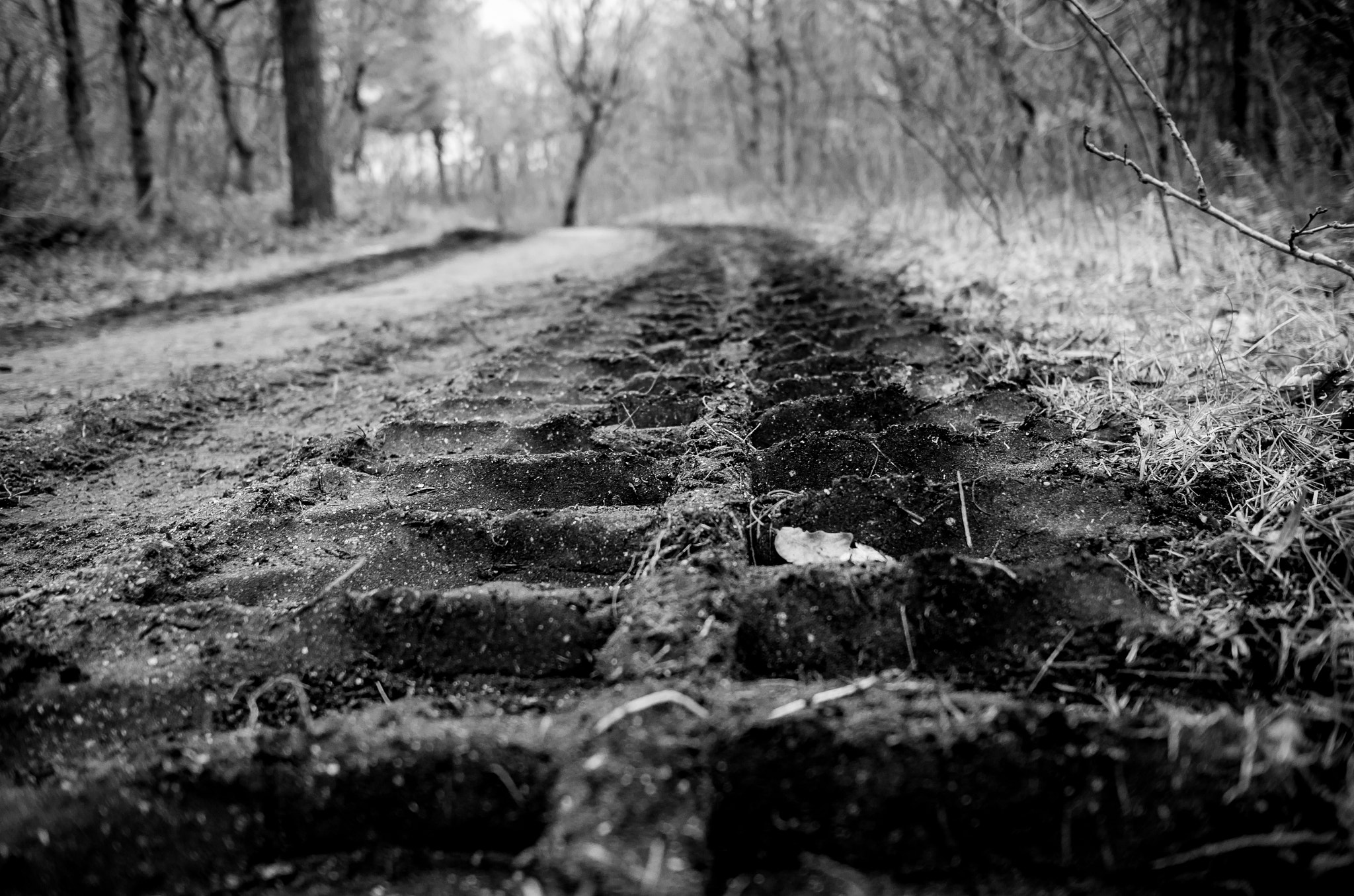 Leica X-E (TYP 102) sample photo. Footprint of tractor photography