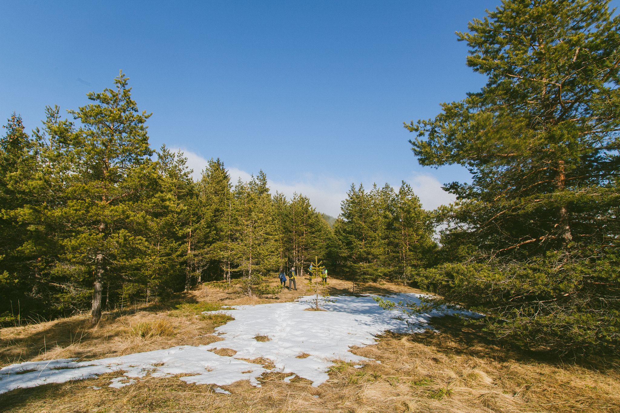Sigma 20mm EX f/1.8 sample photo. Mokr agora photography