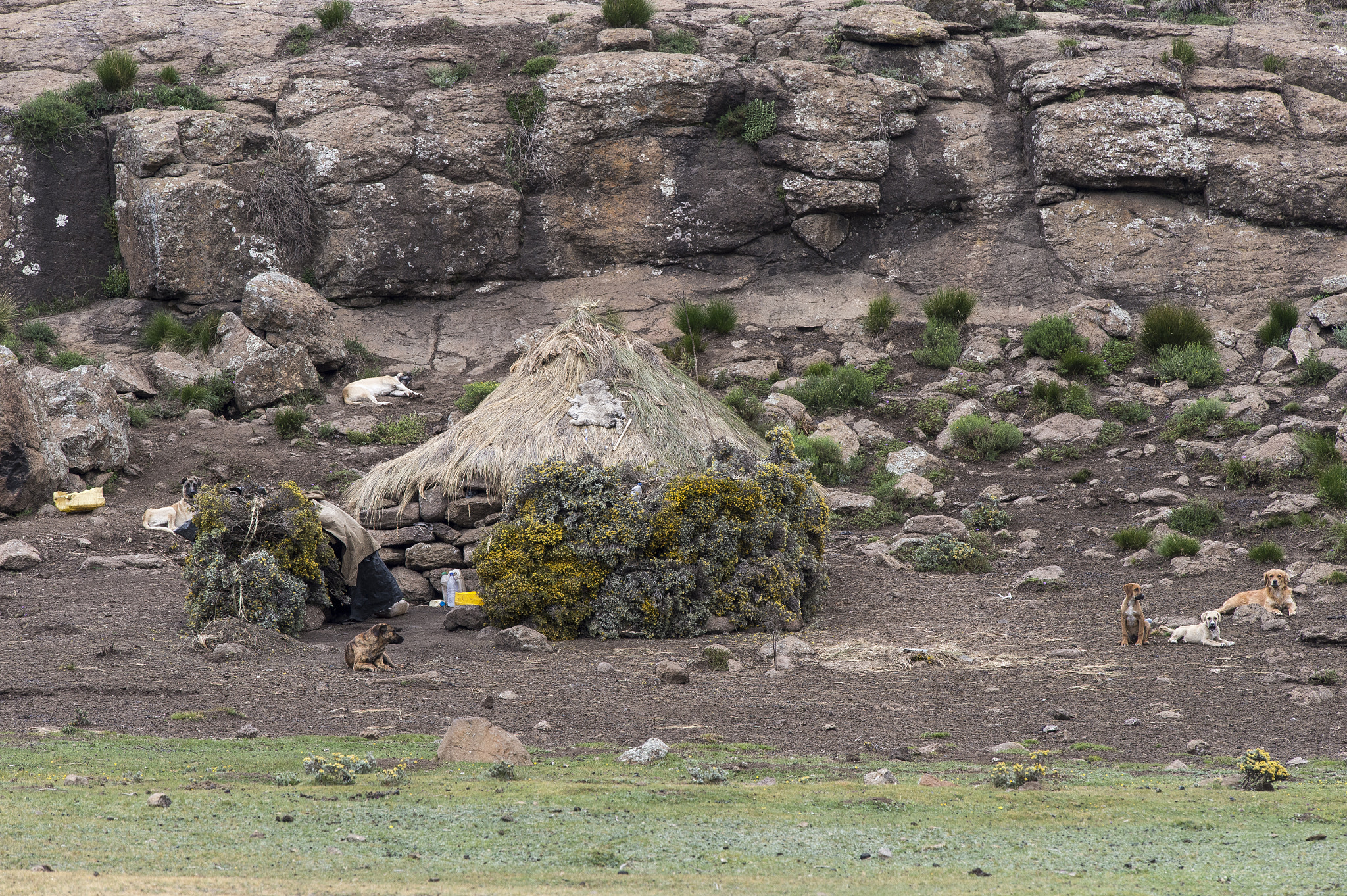 Nikon Nikkor AF-S 300mm F4E PF ED VR sample photo. Herdsman's hut, lesotho photography