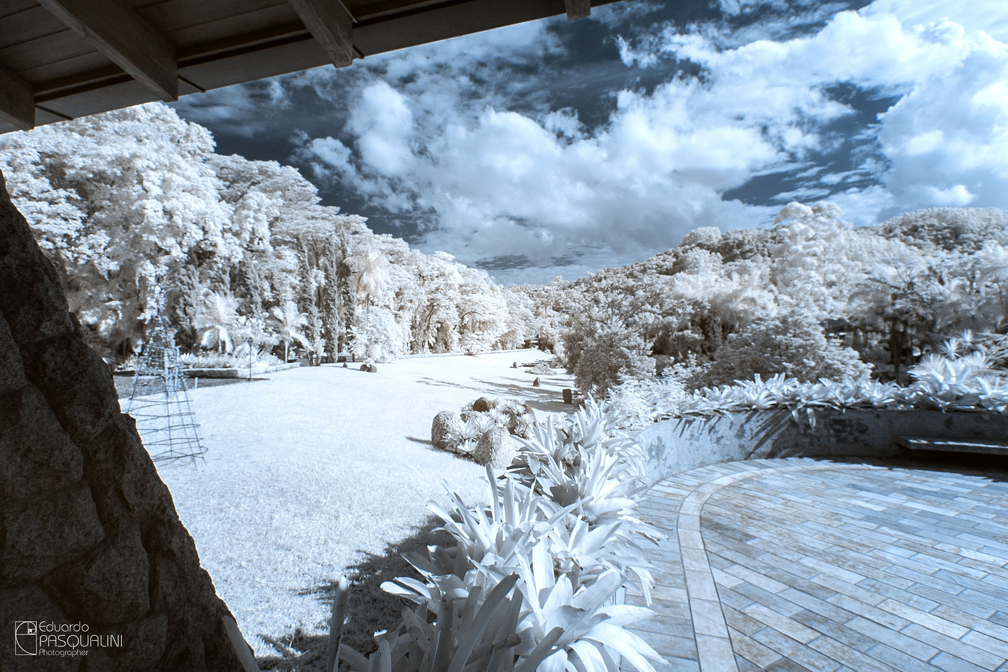 Canon EOS 30D sample photo. From the window - infrared photography