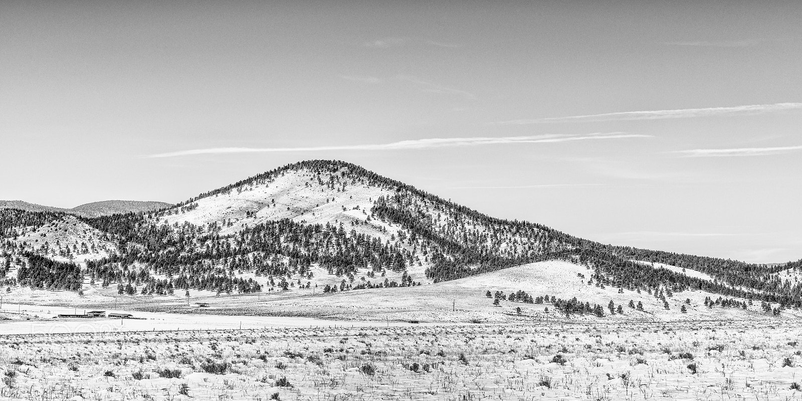 Hasselblad H5D + HC 80 sample photo. Comanche creek stables photography