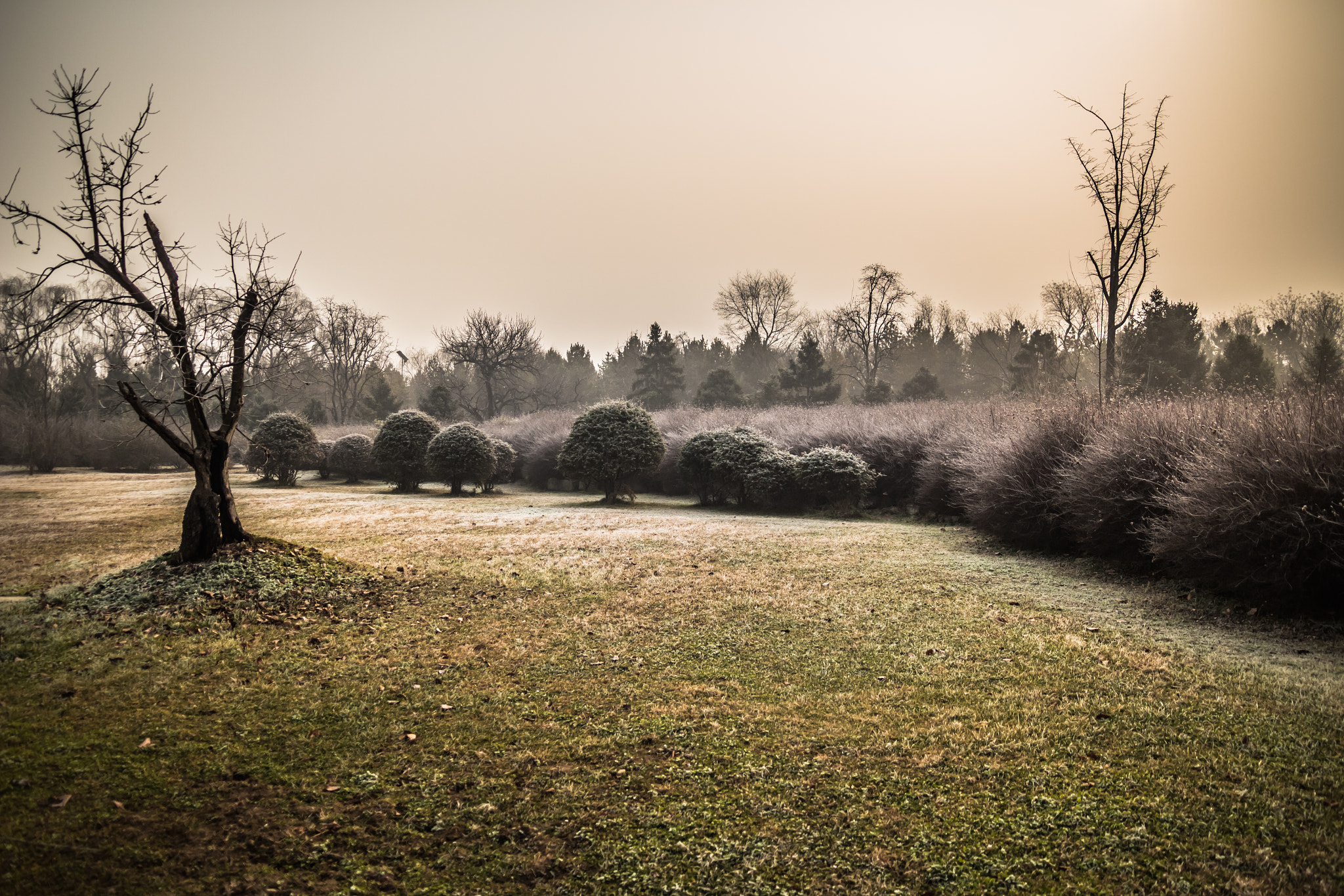 Sigma 17-70mm F2.8-4 DC Macro OS HSM sample photo. Frozen morning in xi'an photography