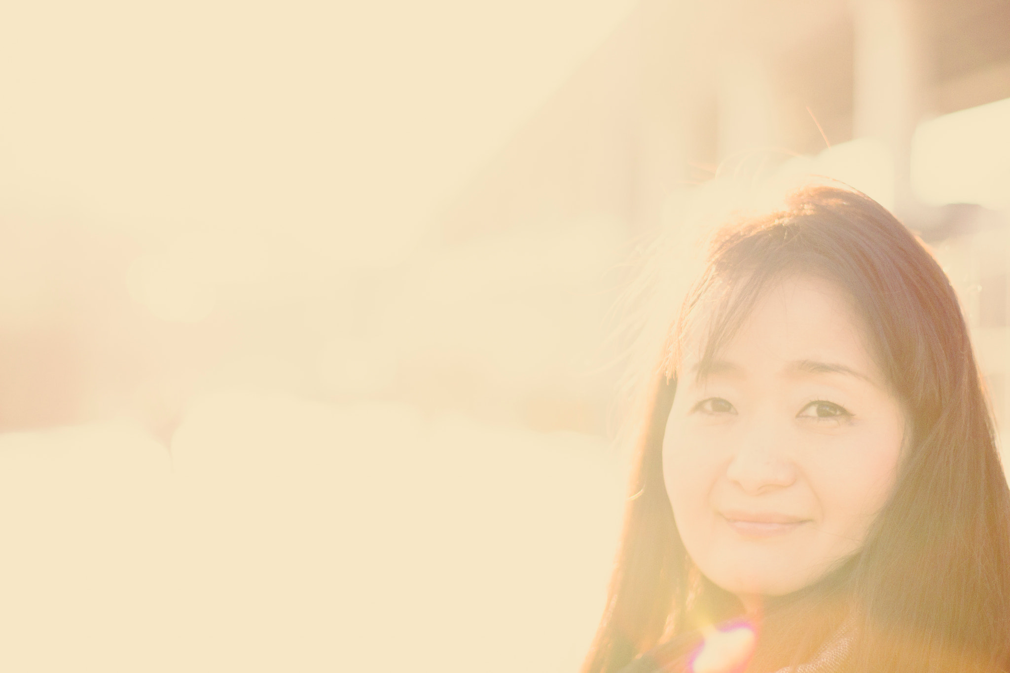 Sony 50mm F1.4 sample photo. Sunny / f1.7 photography