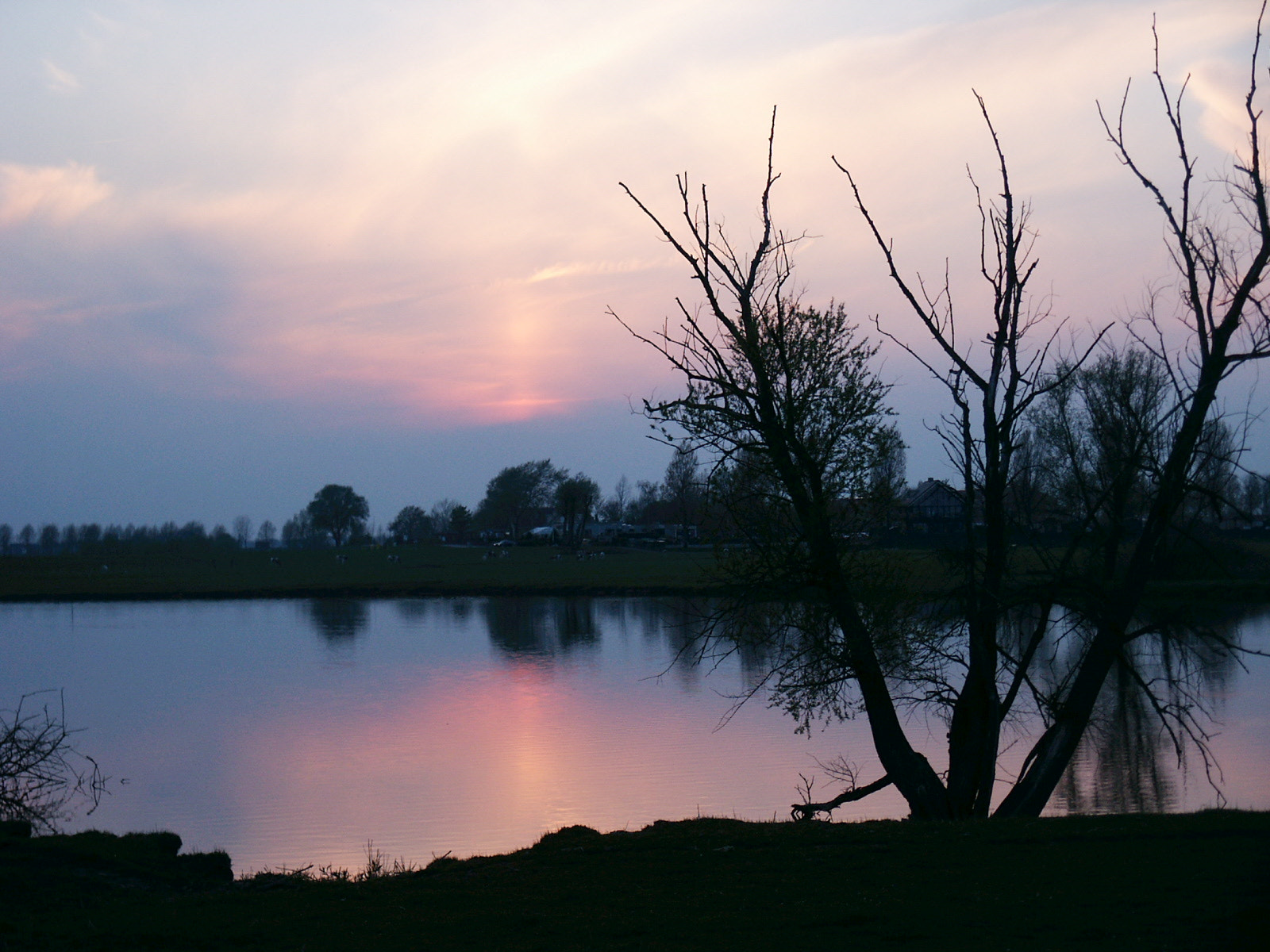 KONICA MINOLTA DiMAGE S404 sample photo. Betuwe photography