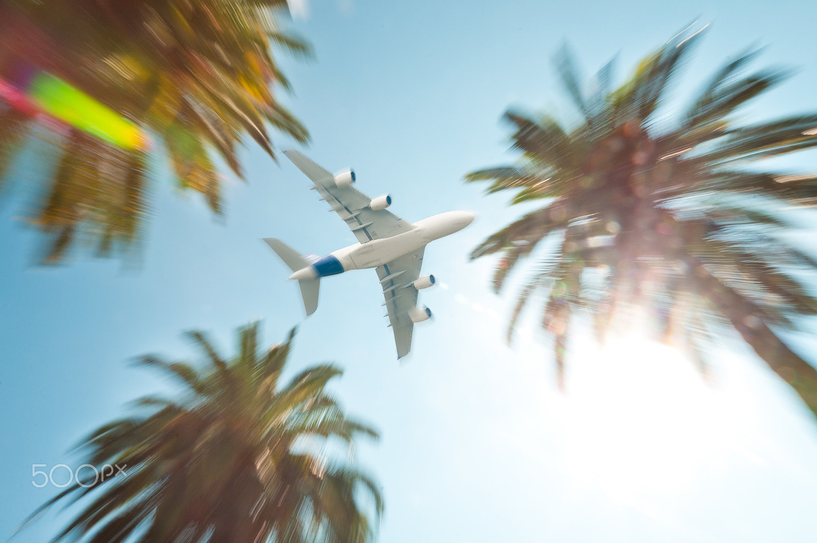 Nikon AF-S Nikkor 16-35mm F4G ED VR sample photo. Air plane above palm trees. photography