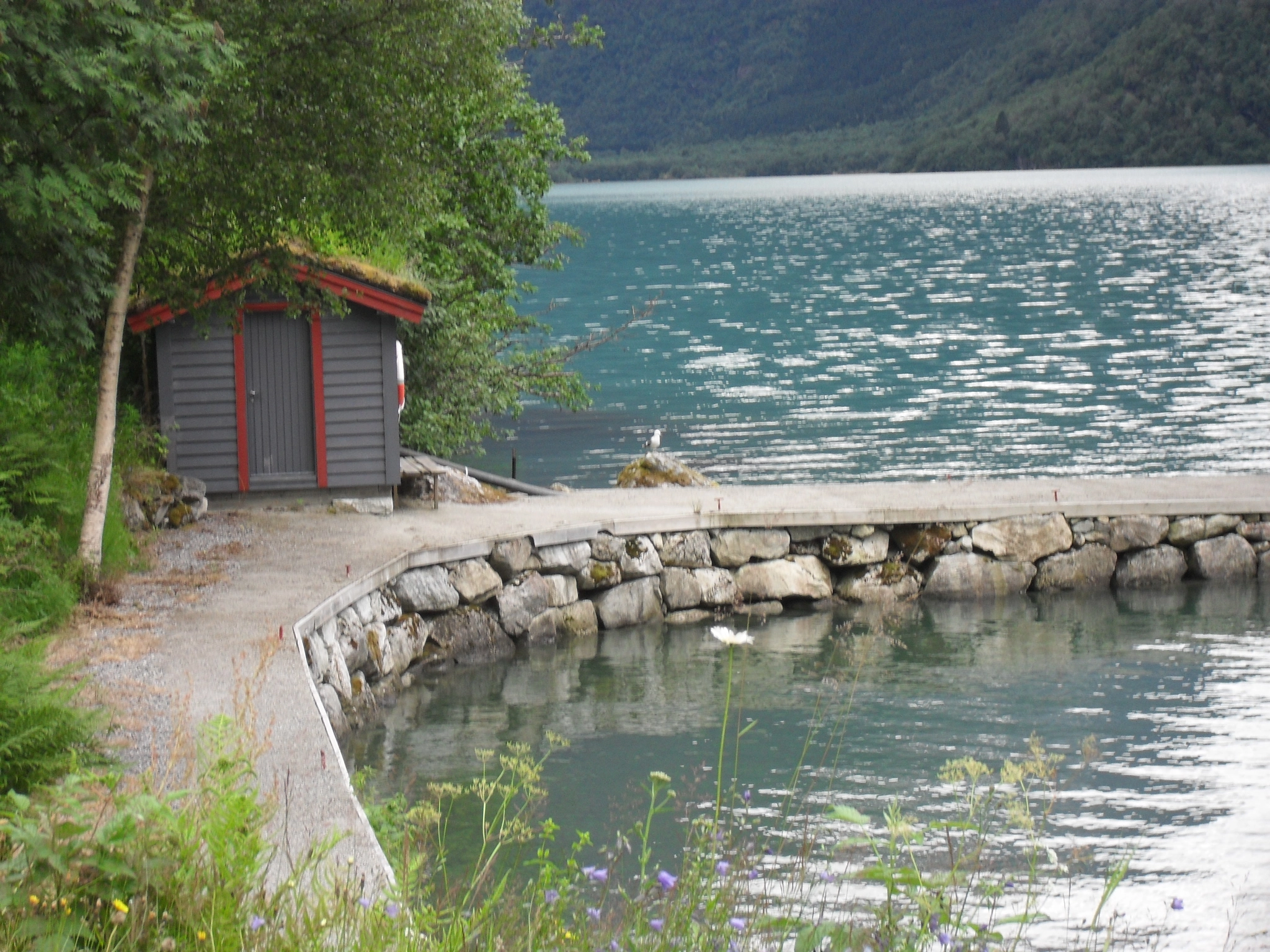 Samsung ES55,ES57 / VLUU ES55 /  SL102 sample photo. Norway fjord photography