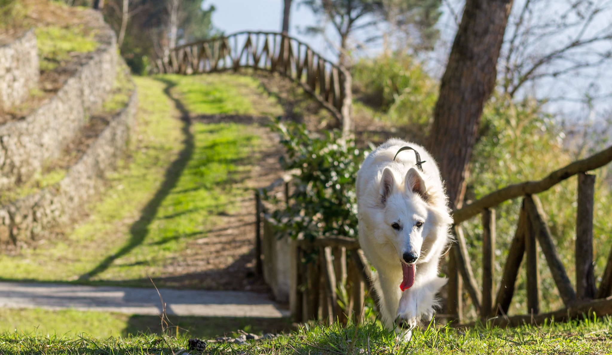 Sony a5100 + E 60mm F2.8 sample photo. Berge blanc suisse photography