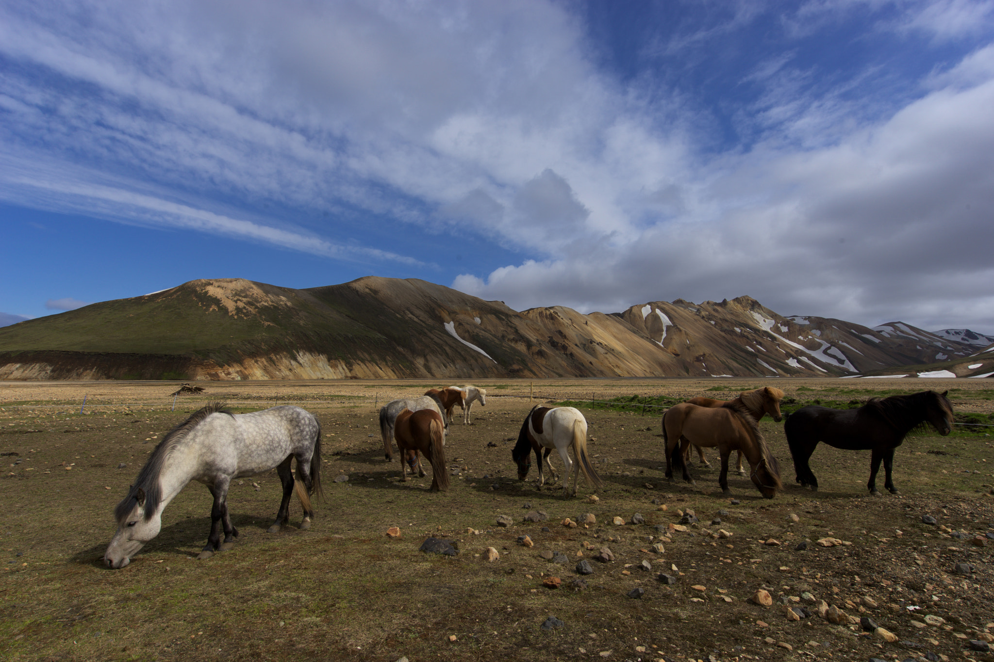 Sony a7 + Sony Vario-Tessar T* FE 16-35mm F4 ZA OSS sample photo