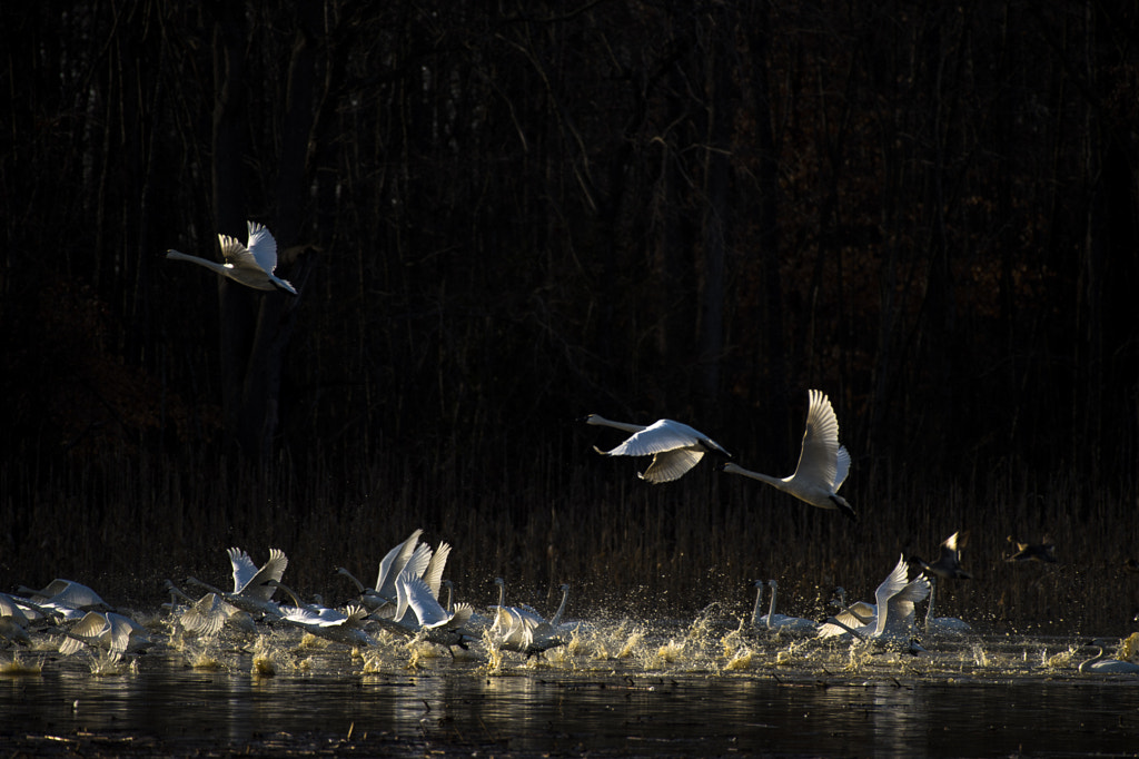 Going Home by Q Liu on 500px.com