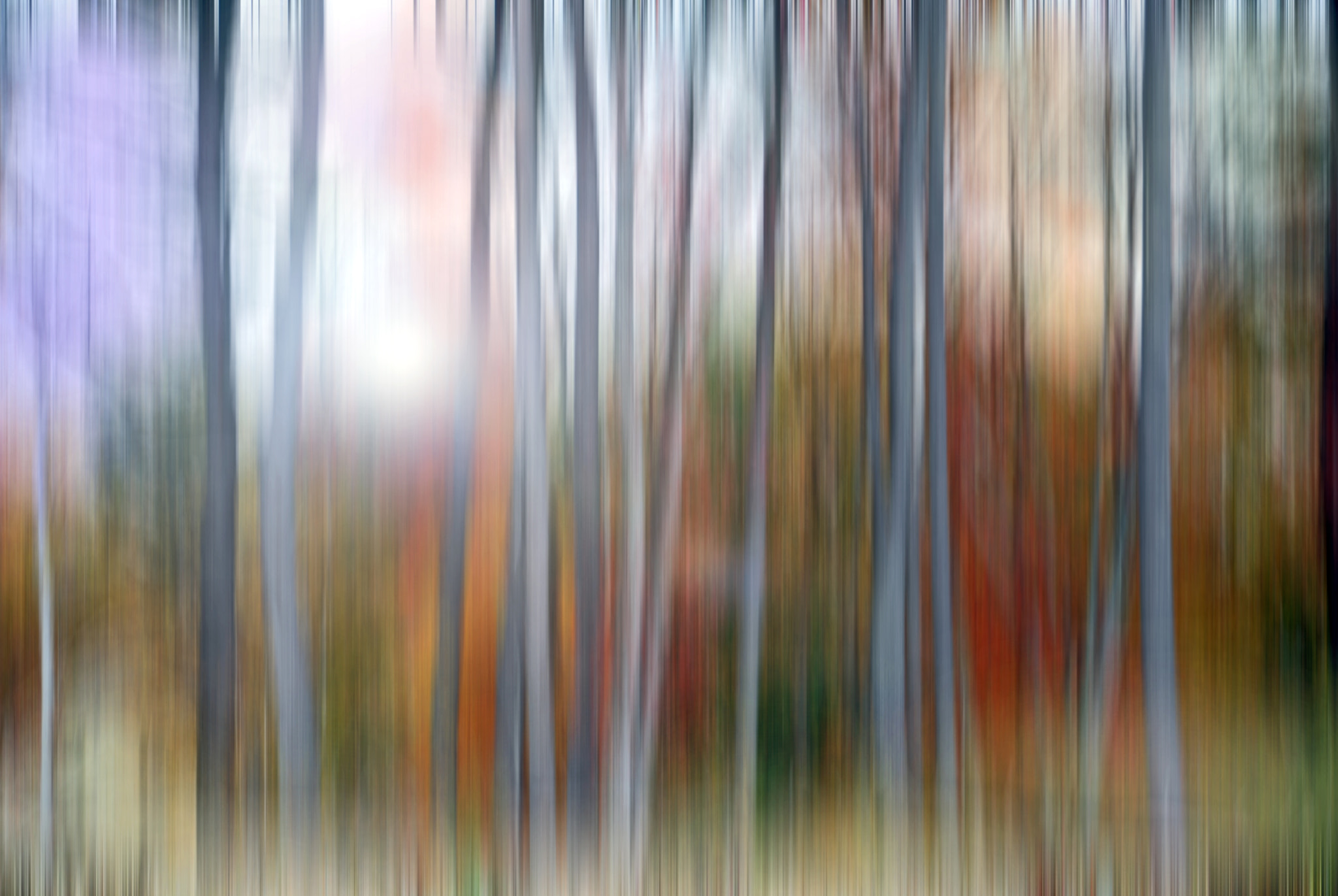 Nikon D60 sample photo. Dreams in color.. photography