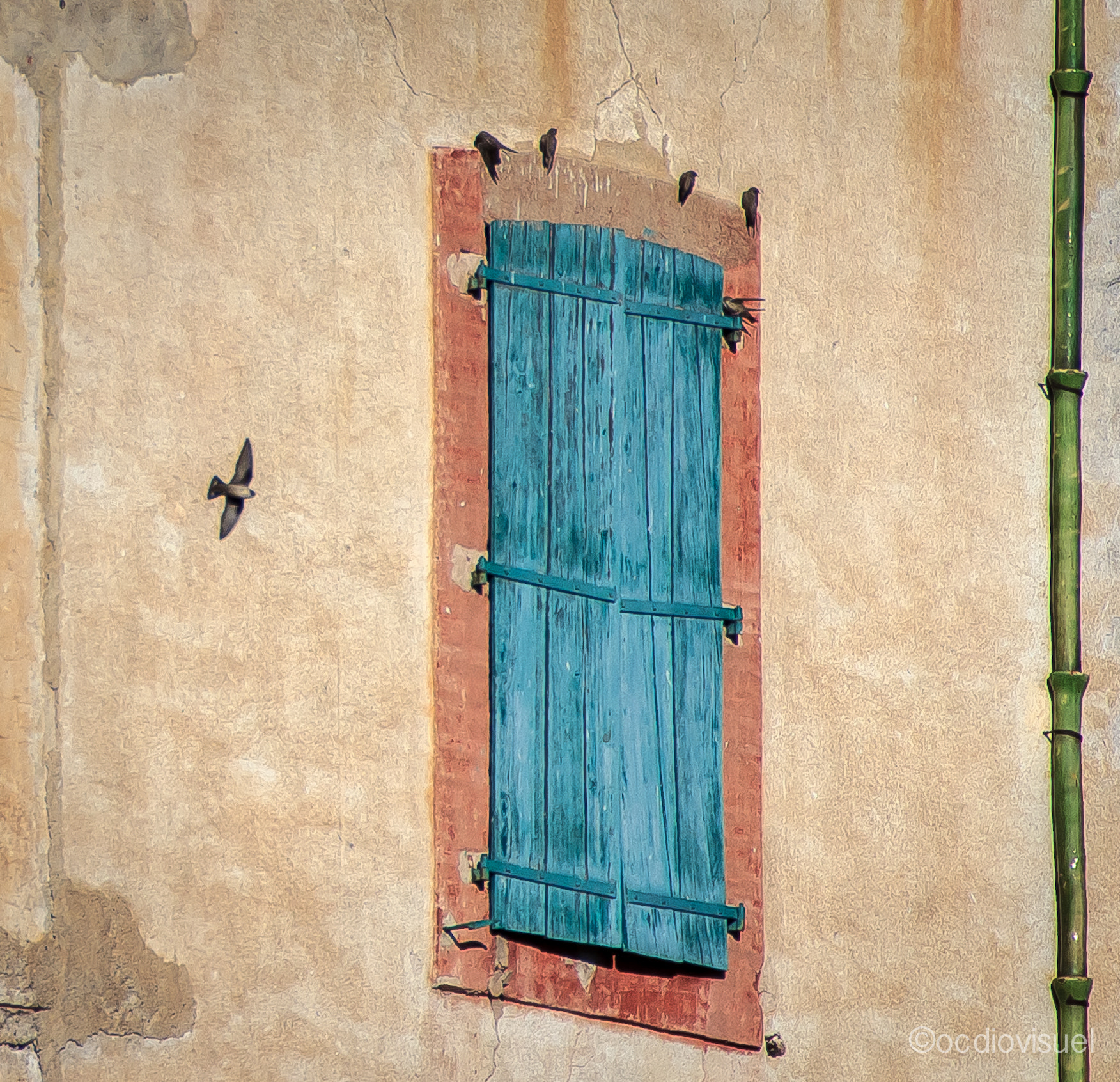 Canon EF 100-400mm F4.5-5.6L IS USM sample photo. Roquebrun hirondelles photography