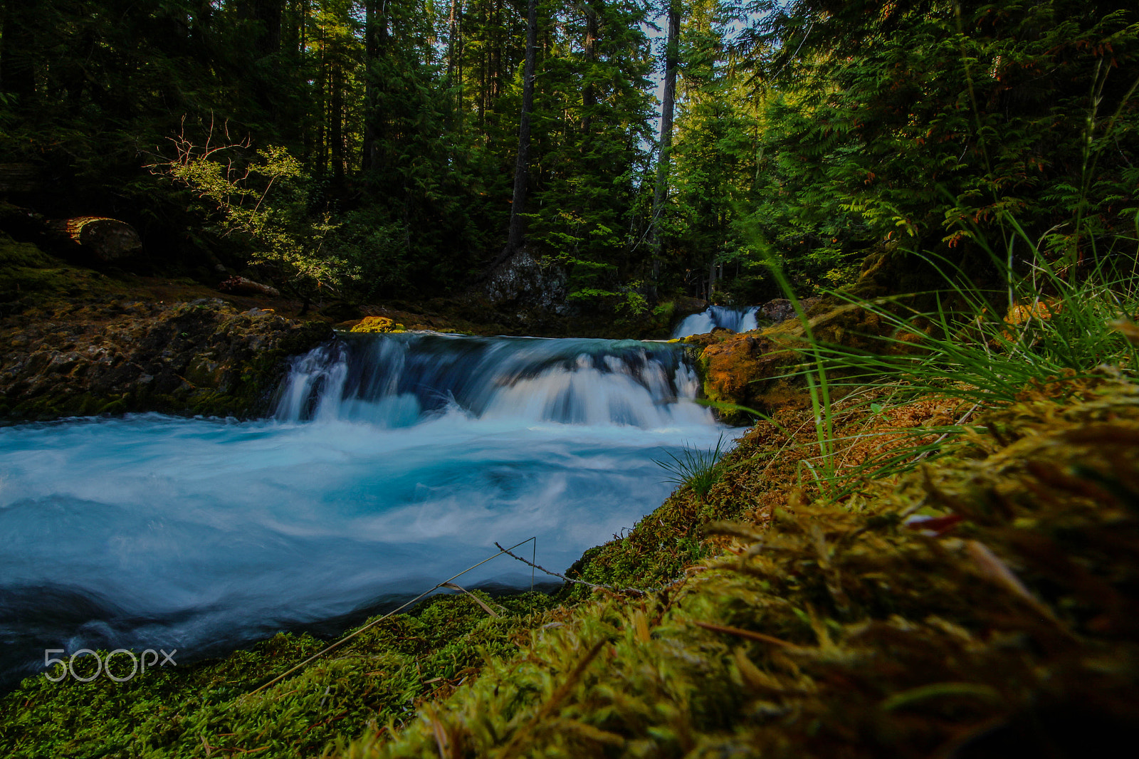 Canon EF-S 10-18mm F4.5–5.6 IS STM sample photo. Beautiful mckenzie river photography