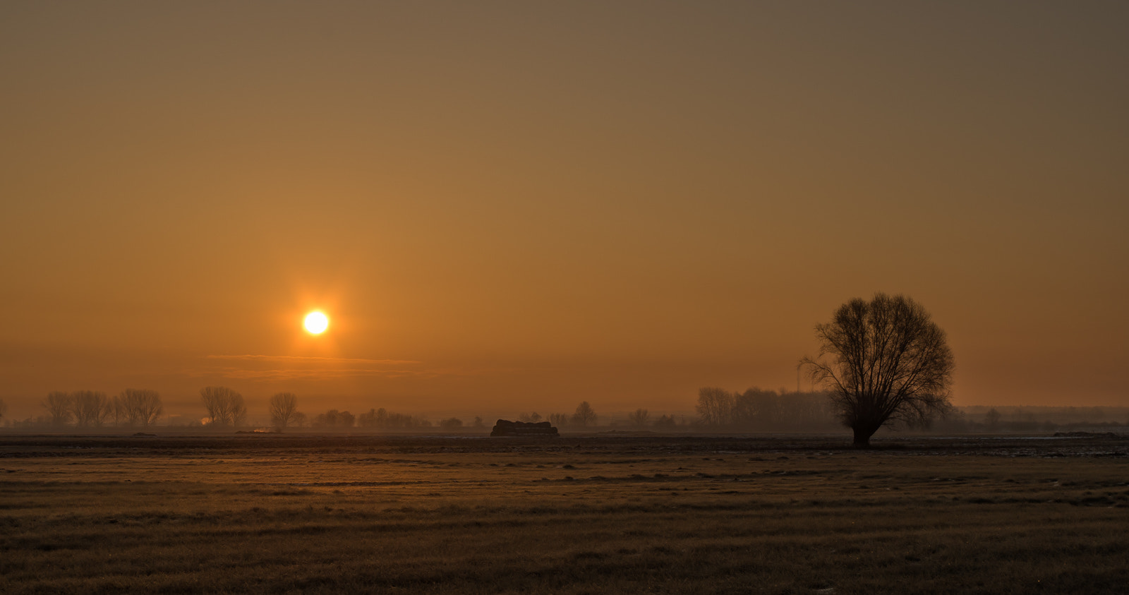 Pentax smc DA 18-55mm F3.5-5.6 AL WR sample photo. Windy and frosty morning photography