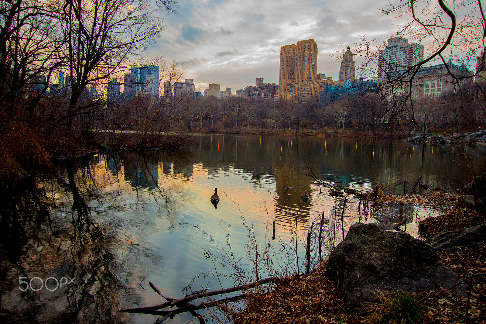 Canon EF-S 10-18mm F4.5–5.6 IS STM sample photo. Central park photography