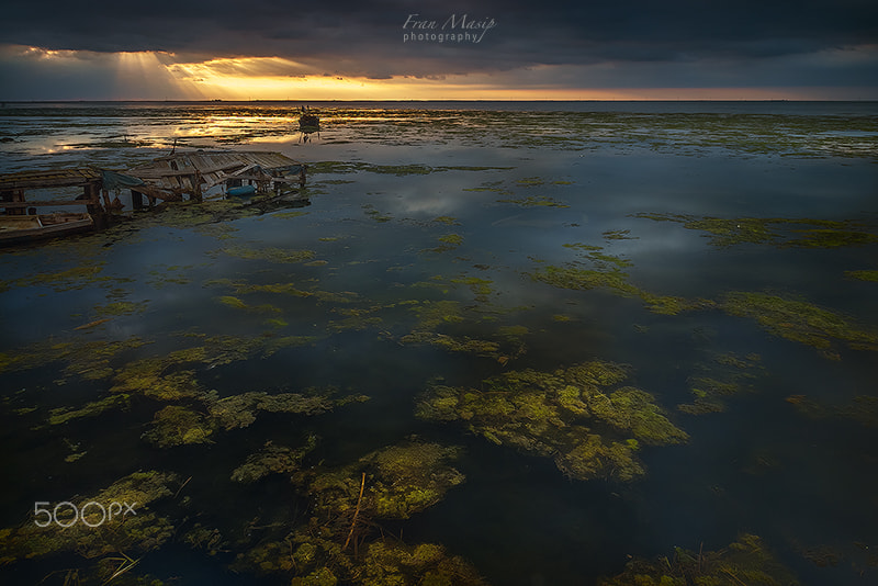 Sony Alpha DSLR-A700 sample photo. Sunrise cloudy photography