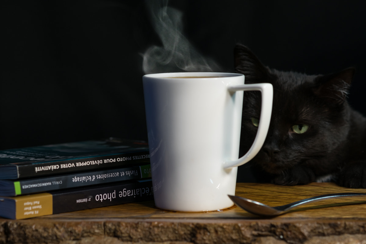Sony a7R + Sony 100mm F2.8 Macro sample photo. Sunday morning photography