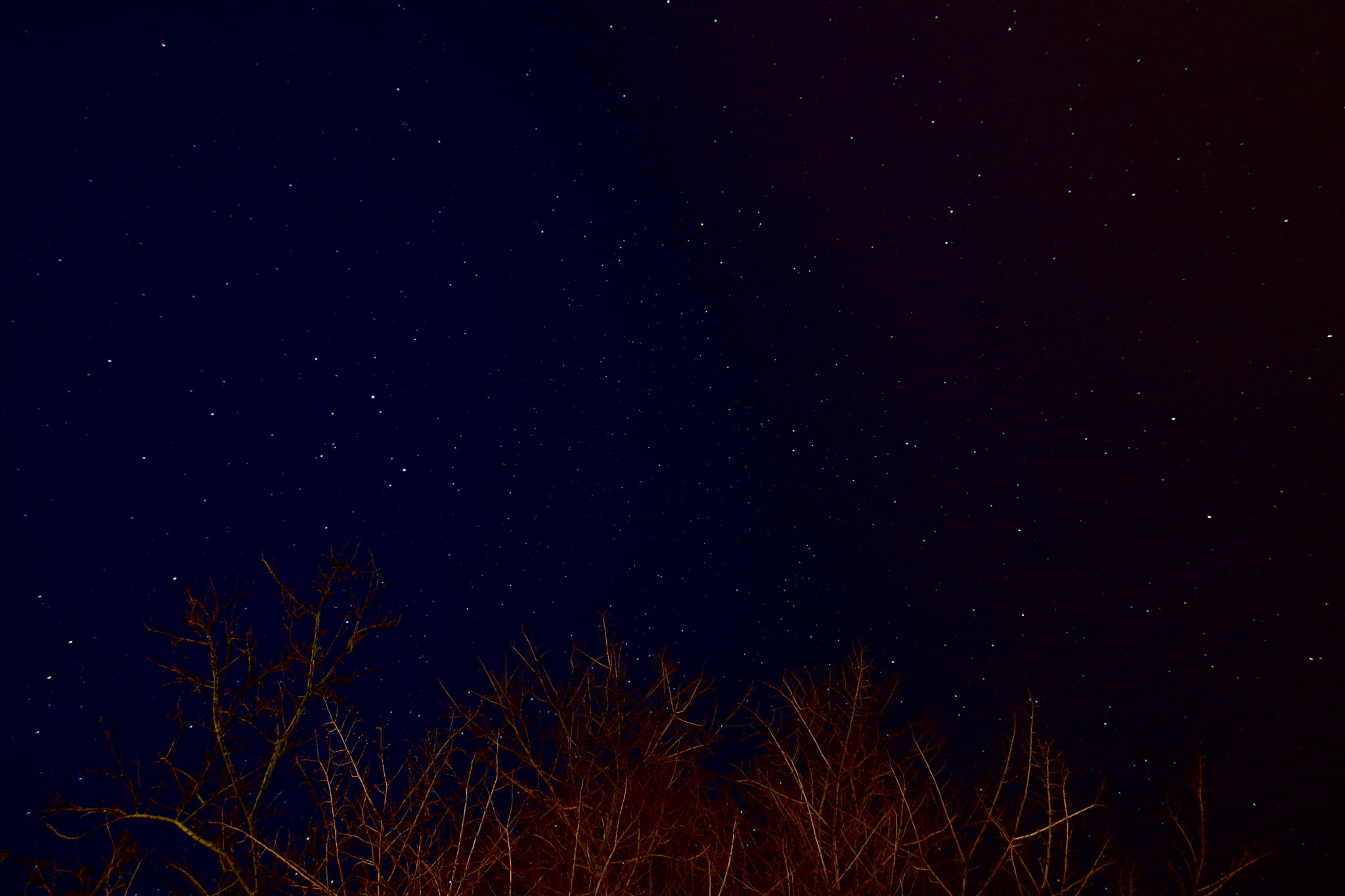 Canon EOS 750D (EOS Rebel T6i / EOS Kiss X8i) sample photo. Testshot photography