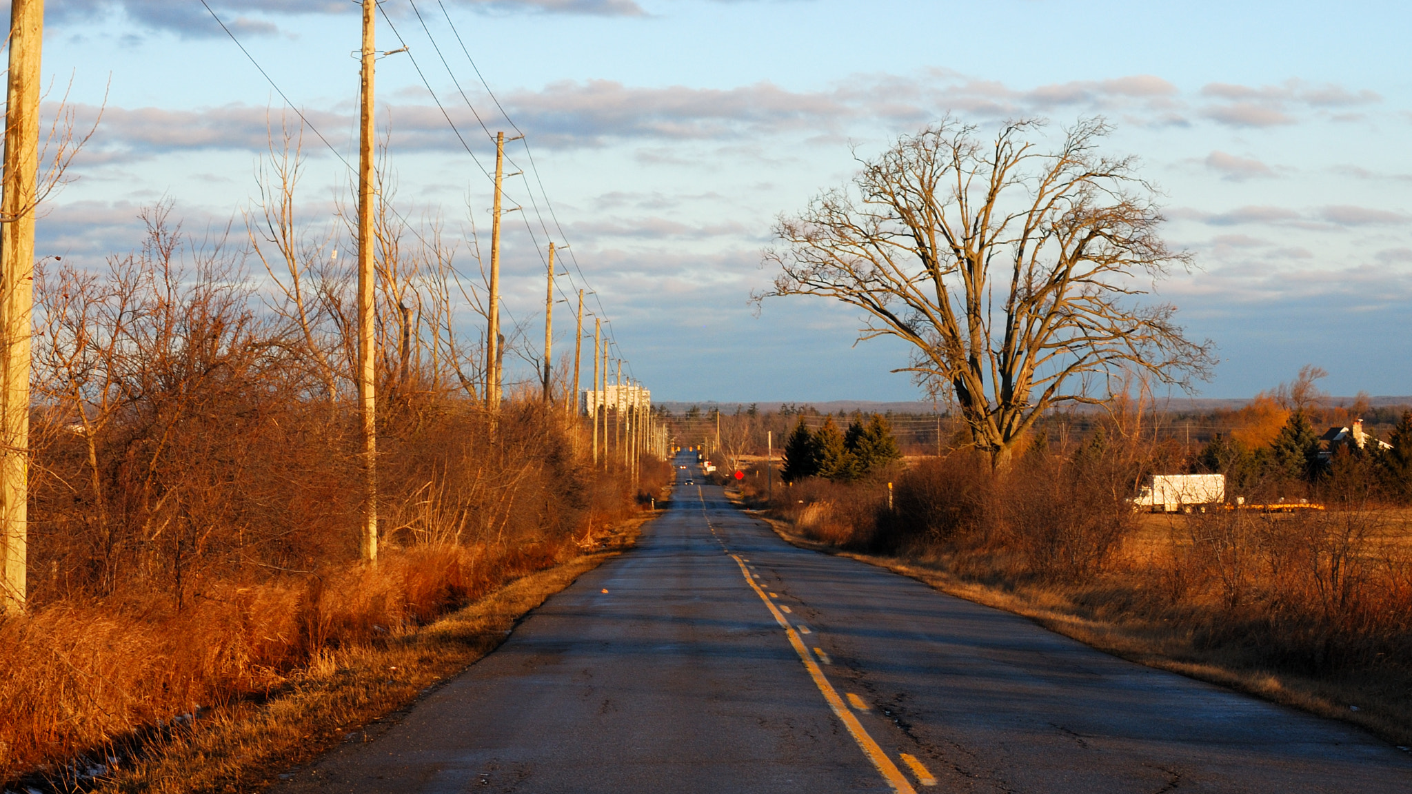 Nikon D60 sample photo. Winter morning photography