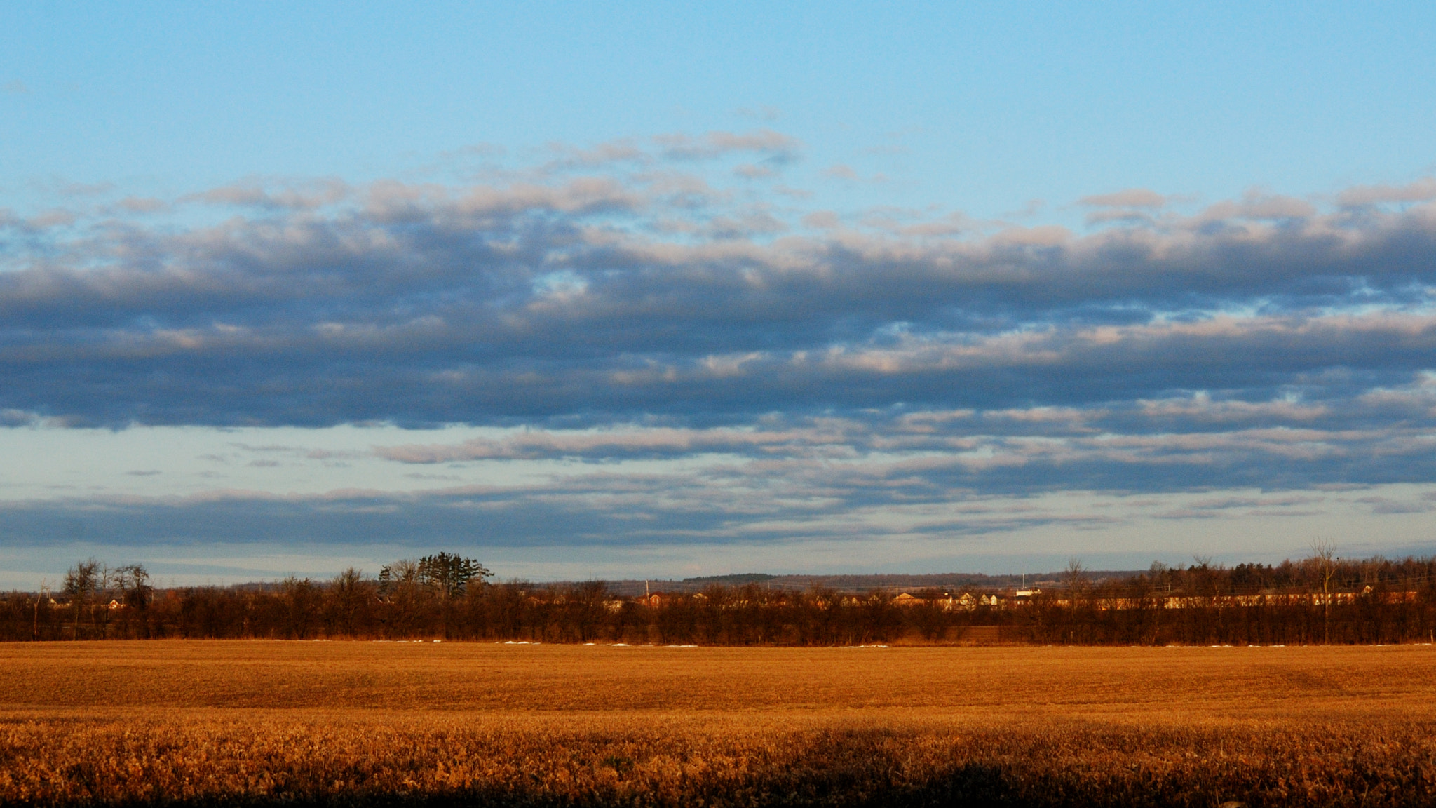 Nikon D60 sample photo. Morning sky photography