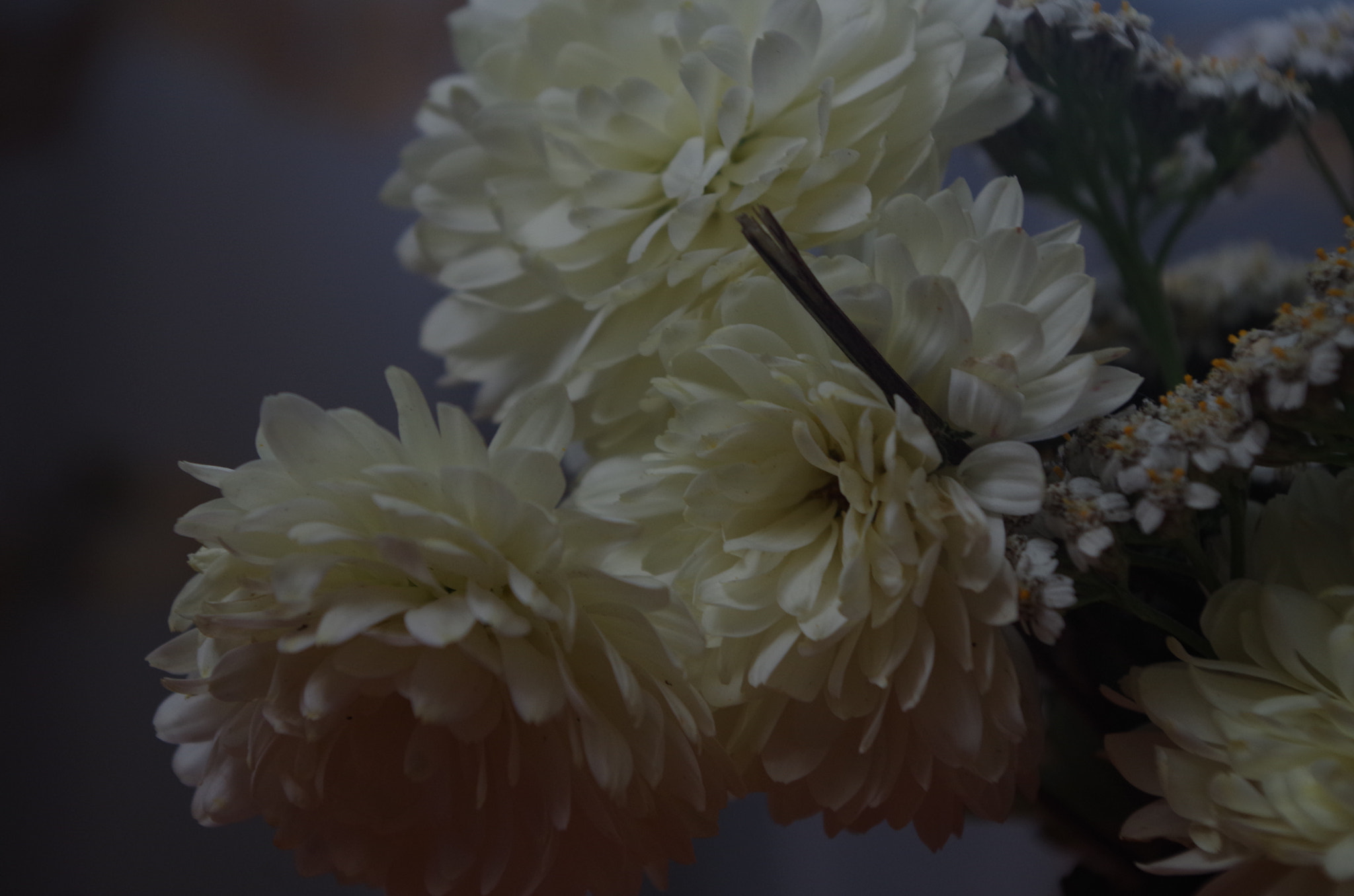 Pentax K-01 sample photo. * photography