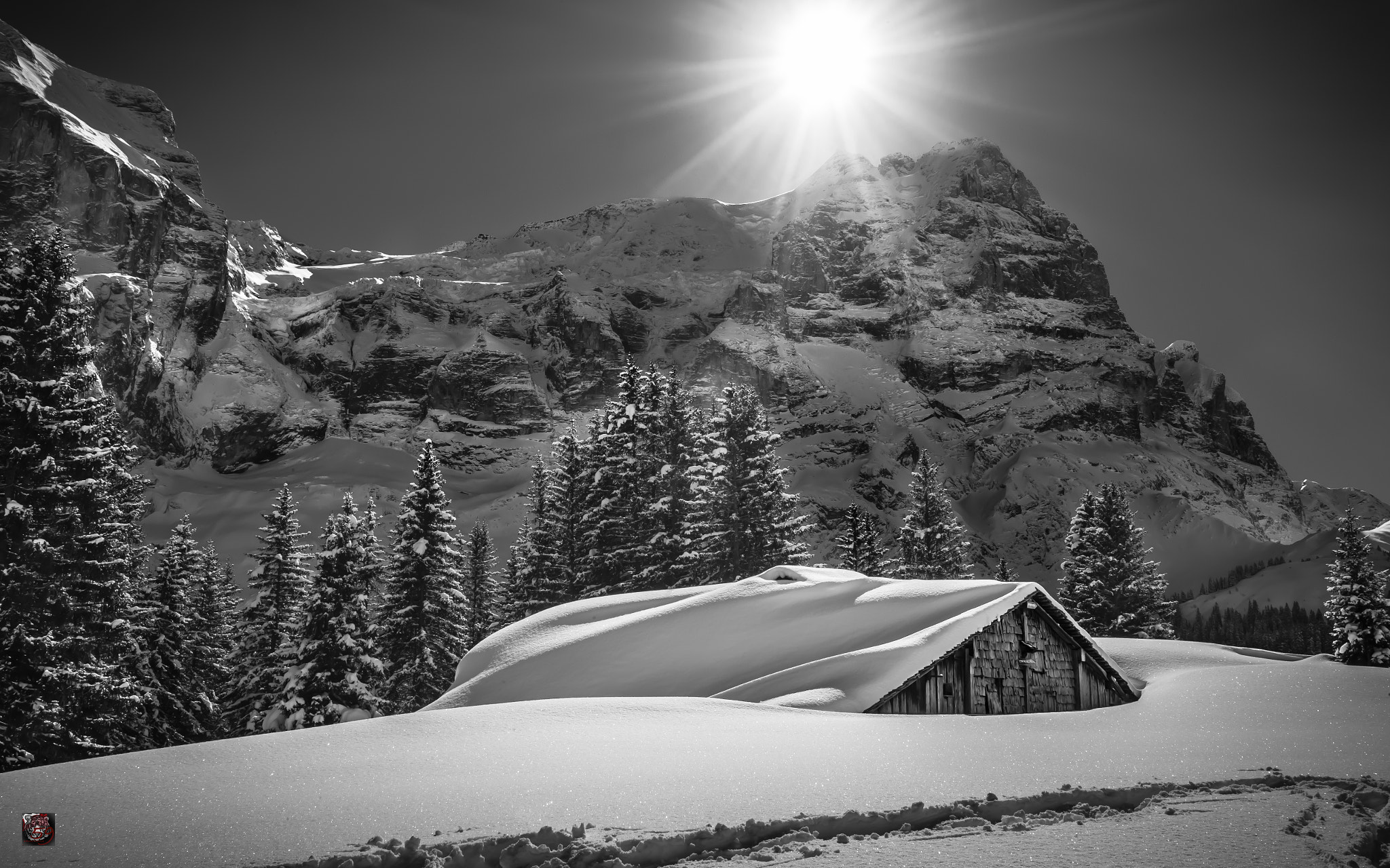 Leica M9 + Leica Summicron-M 28mm F2 ASPH sample photo. Winter: sometimes it is better to wait for spring photography