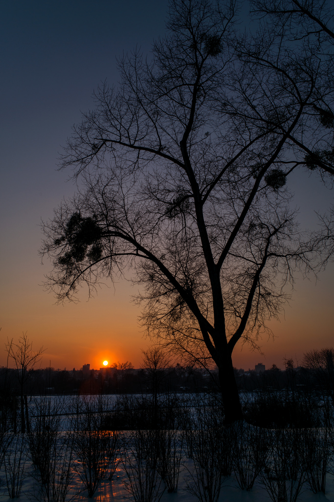 Summicron-M 1:2/28 ASPH. sample photo. Warsaw, wintry sunset photography
