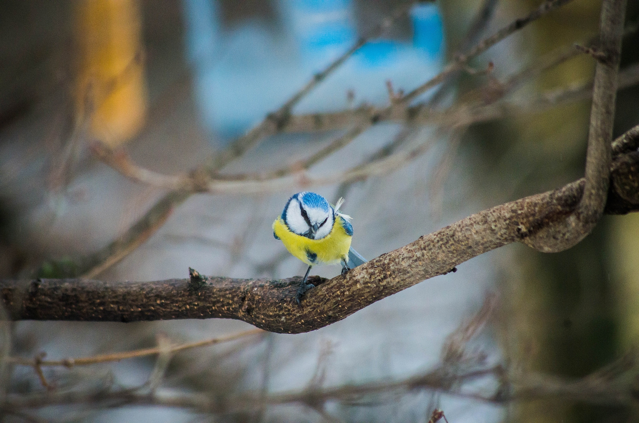 smc PENTAX-FA 100-300mm F4.7-5.8 sample photo. 20160214-imgp2344.jpg photography