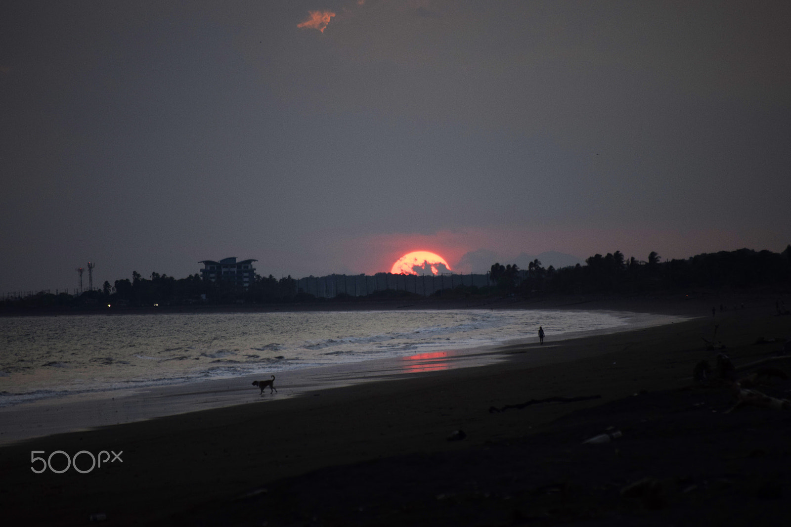 Nikon AF-S Nikkor 600mm F4D ED-IF II sample photo. Anochecer en puntarenas photography