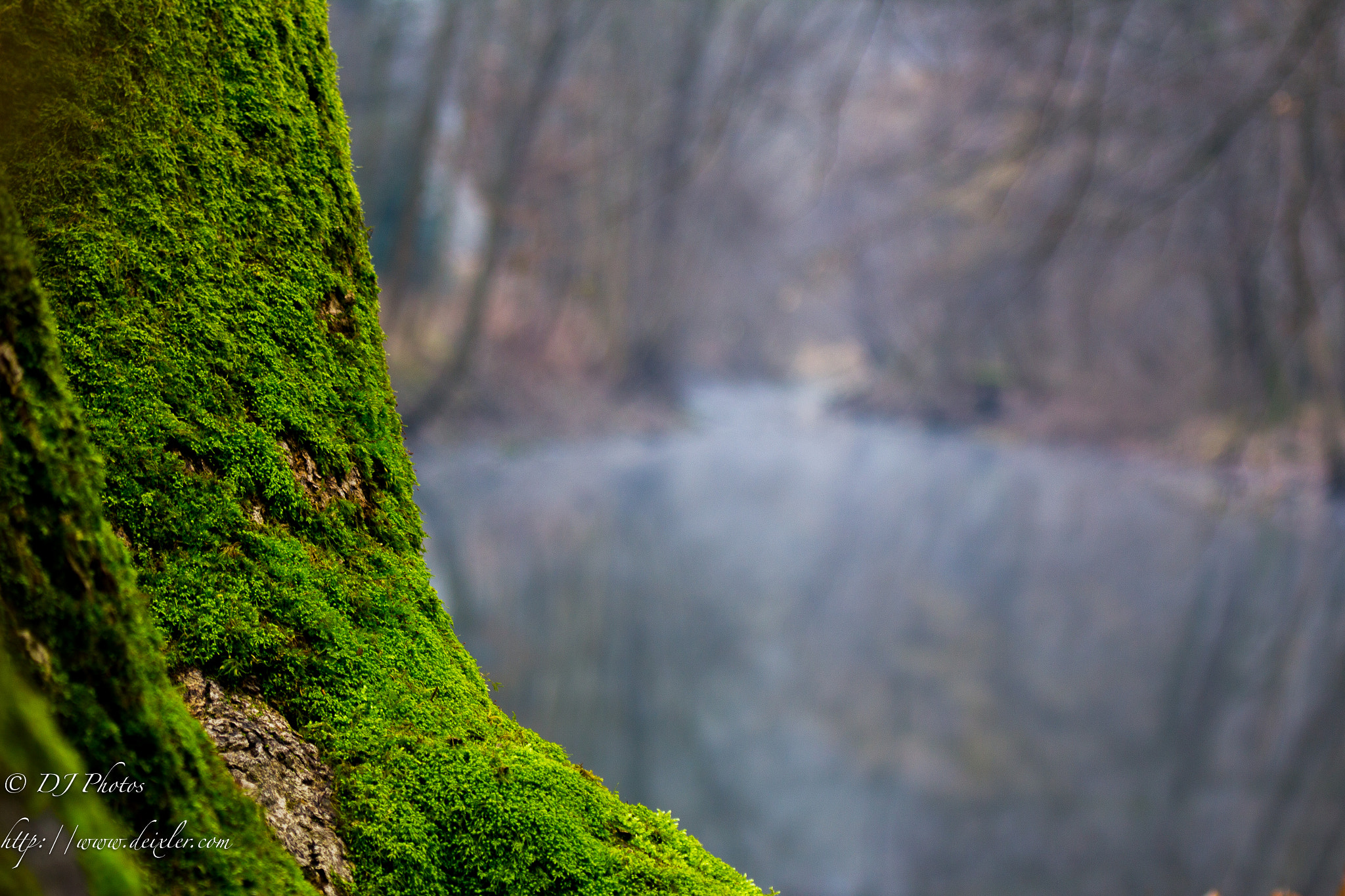 Canon EF 70-200mm F4L IS USM sample photo. Unendlich und viel weiter :-) photography