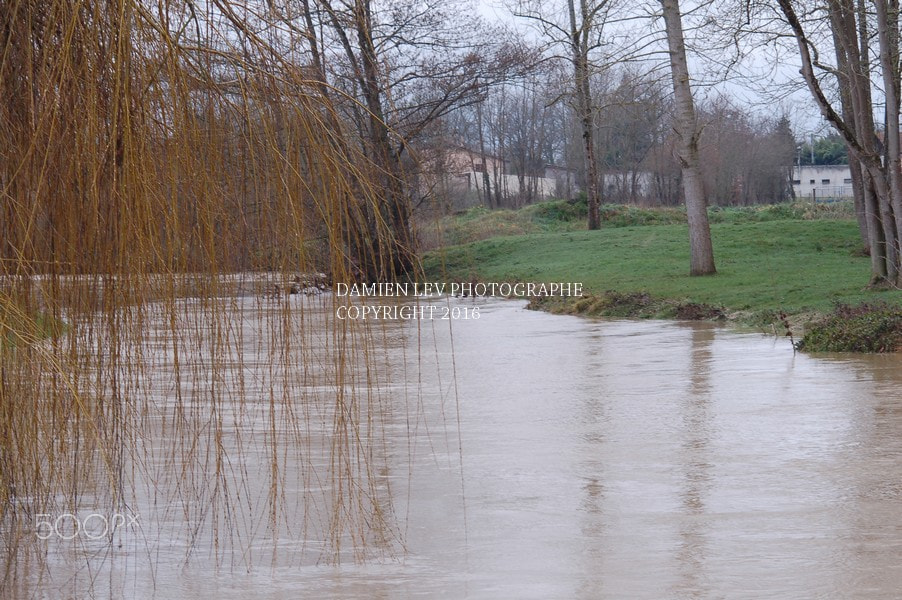 Nikon D50 + AF Nikkor 70-210mm f/4-5.6 sample photo. La crue de l'arros de fev 2016 photography