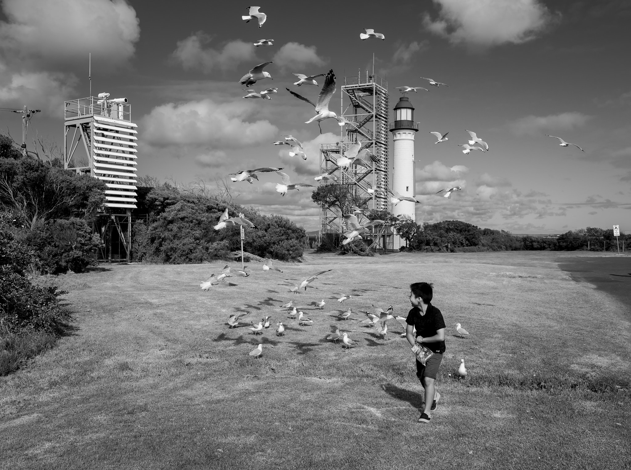 Pentax smc DA 17-70mm F4.0 AL (IF) SDM sample photo. Having fun wiith the seagulls photography