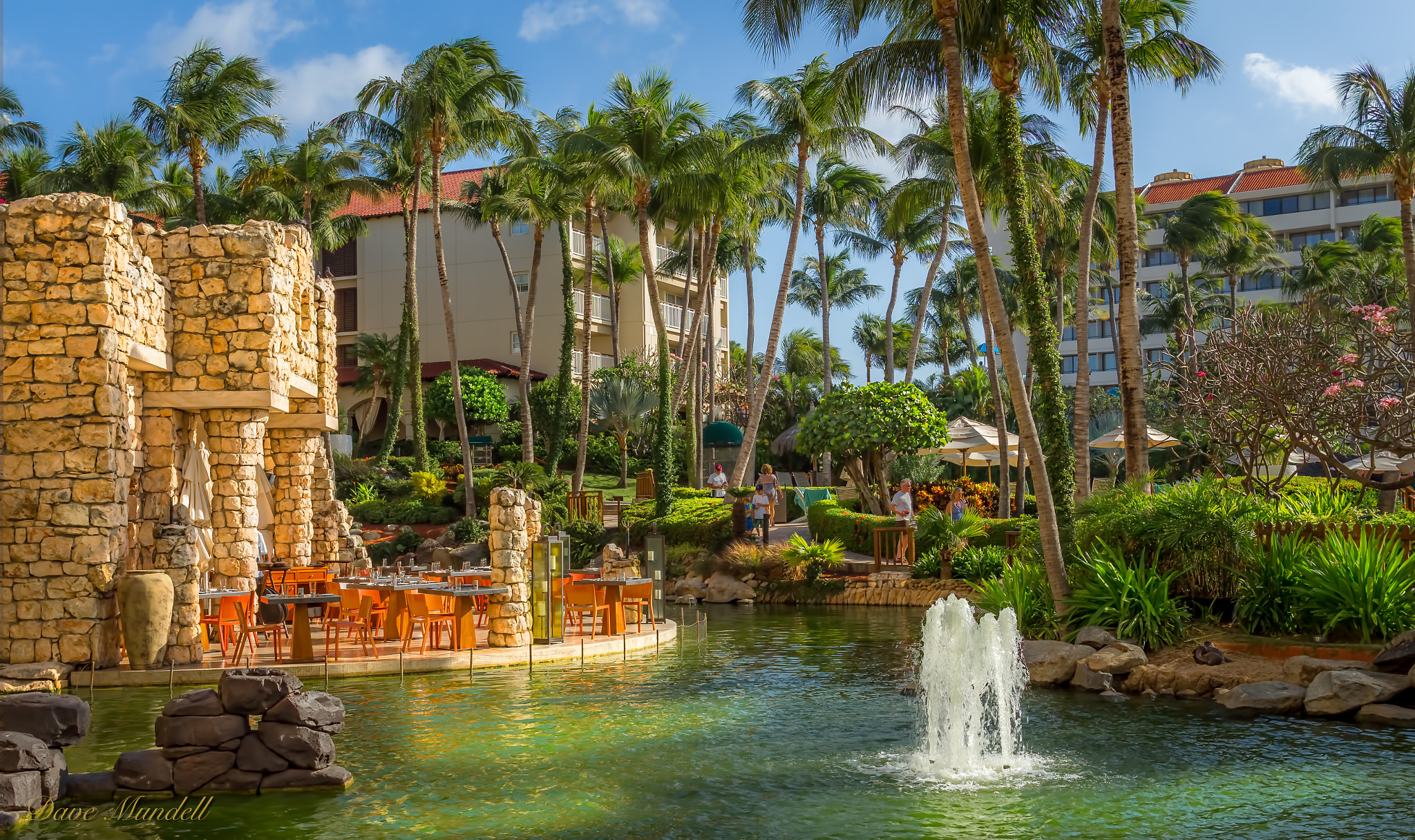 Canon EF 24mm F1.4L II USM sample photo. Hyatt aruba photography