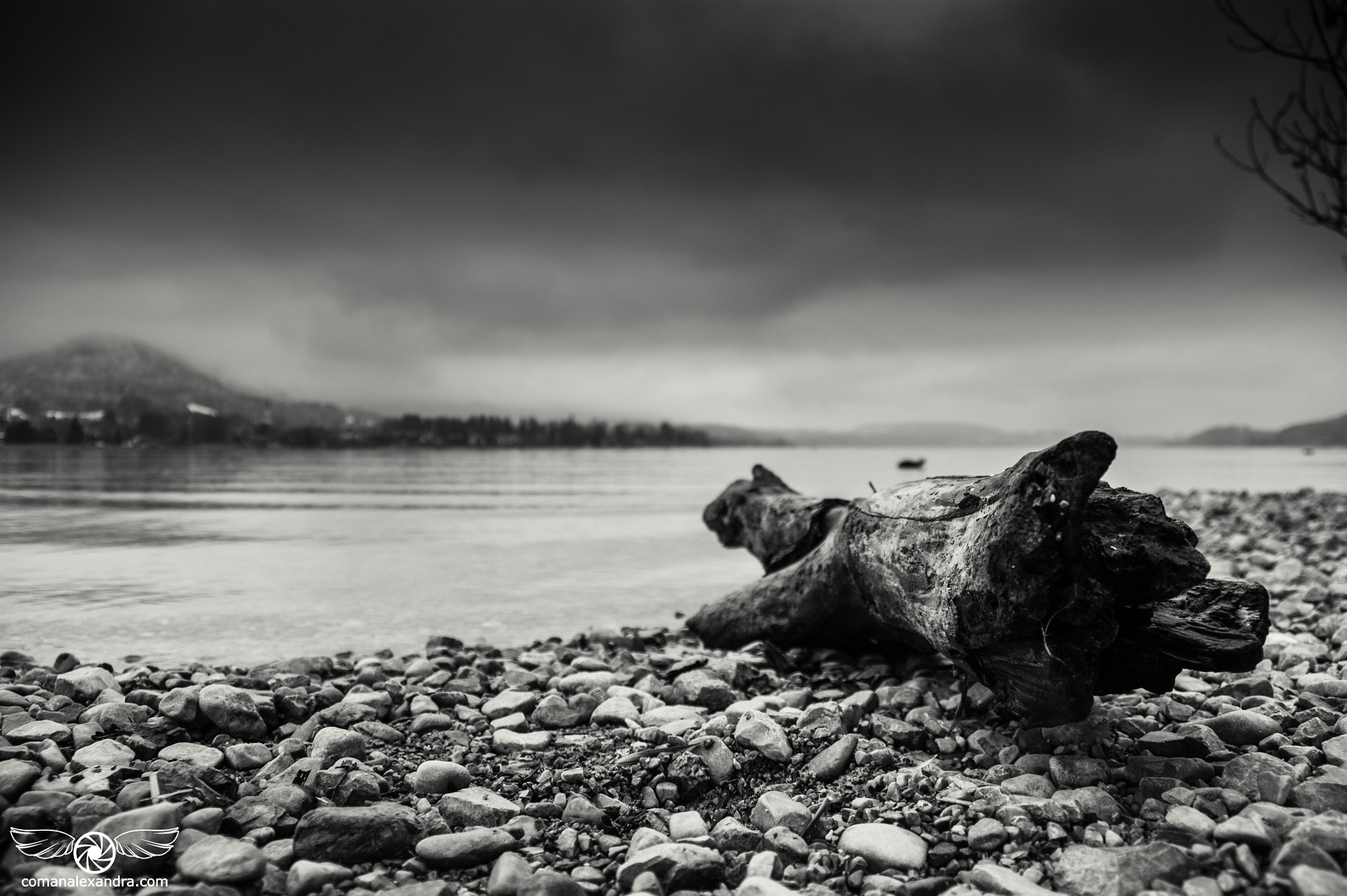Sony DT 18-250mm F3.5-6.3 sample photo. The lake photography