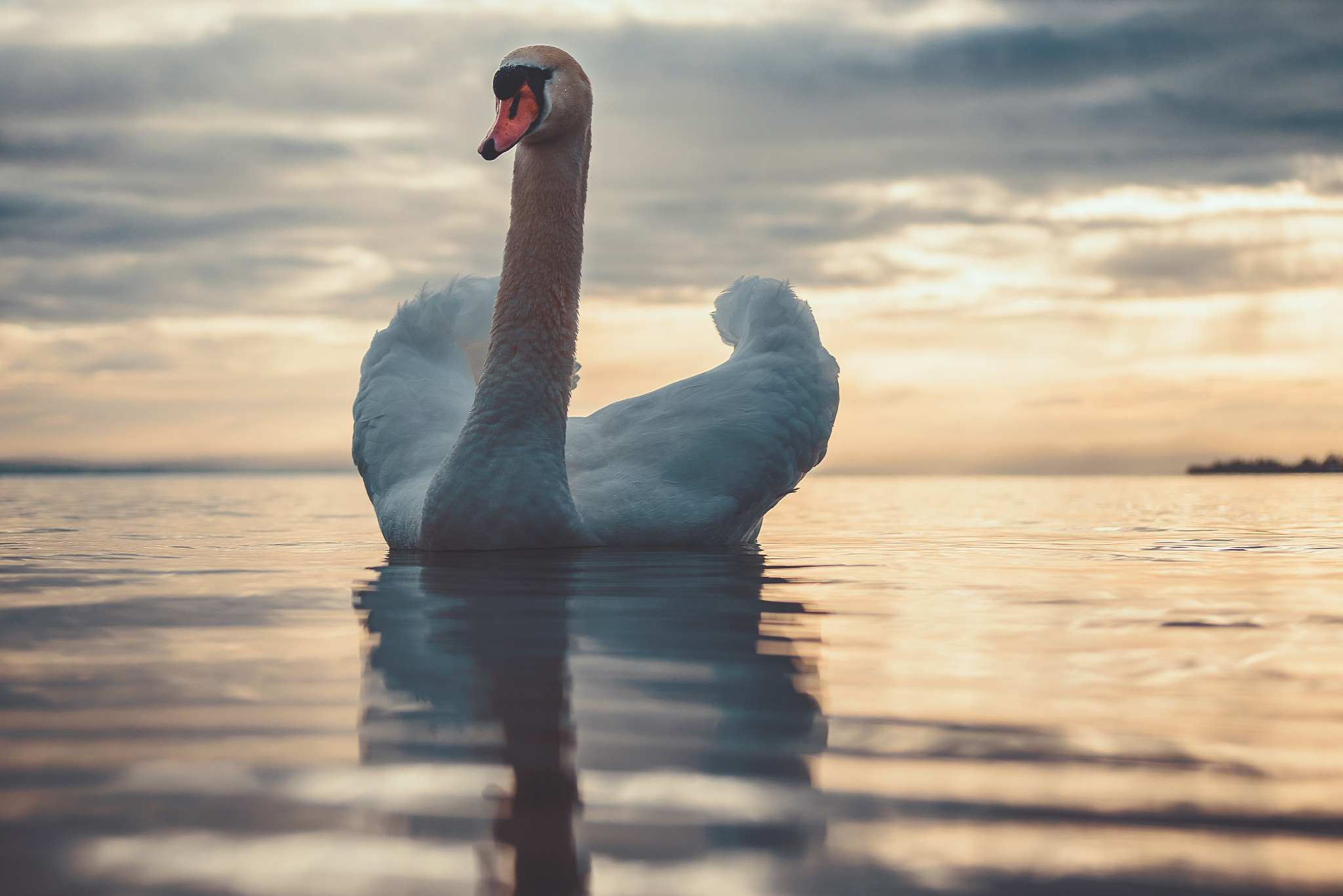 Nikon D610 + AF Zoom-Nikkor 28-70mm f/3.5-4.5 sample photo. This is my lake photography